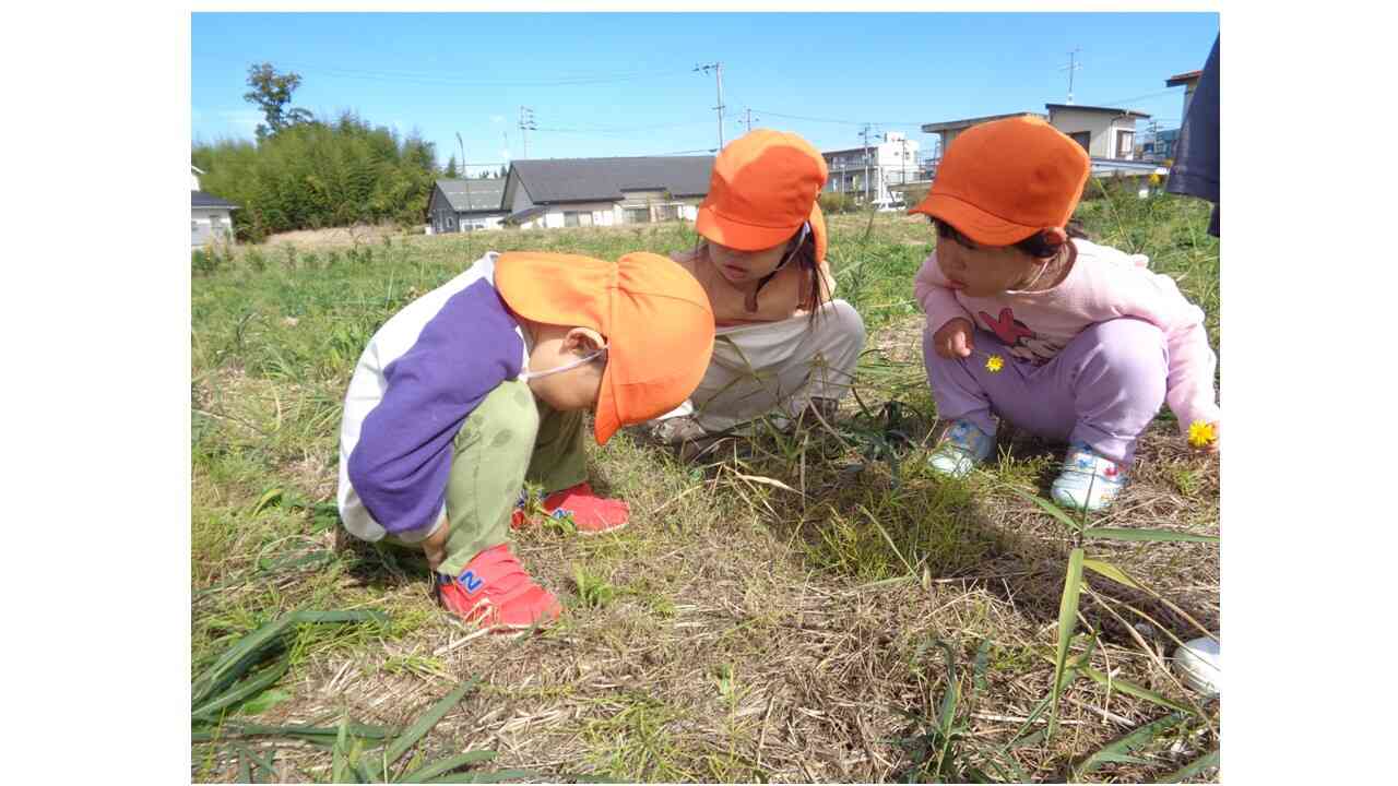 あれれ？虫さんいないかな？