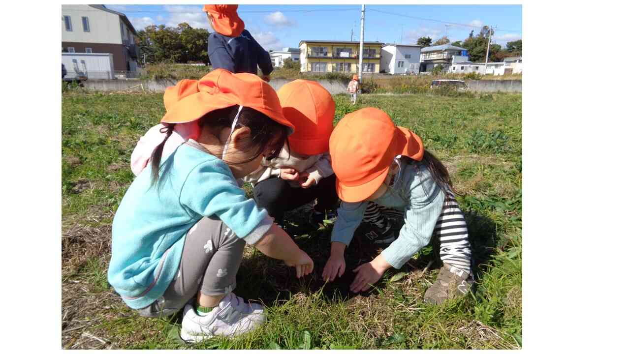 みんなで虫探ししよう～☆