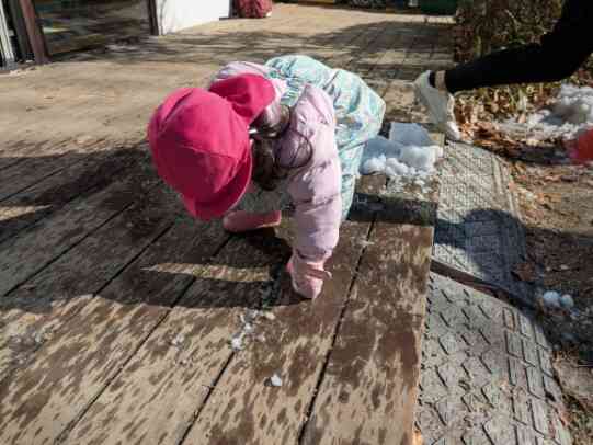 初めて触れる雪に興味津々で、じーっと眺めています！