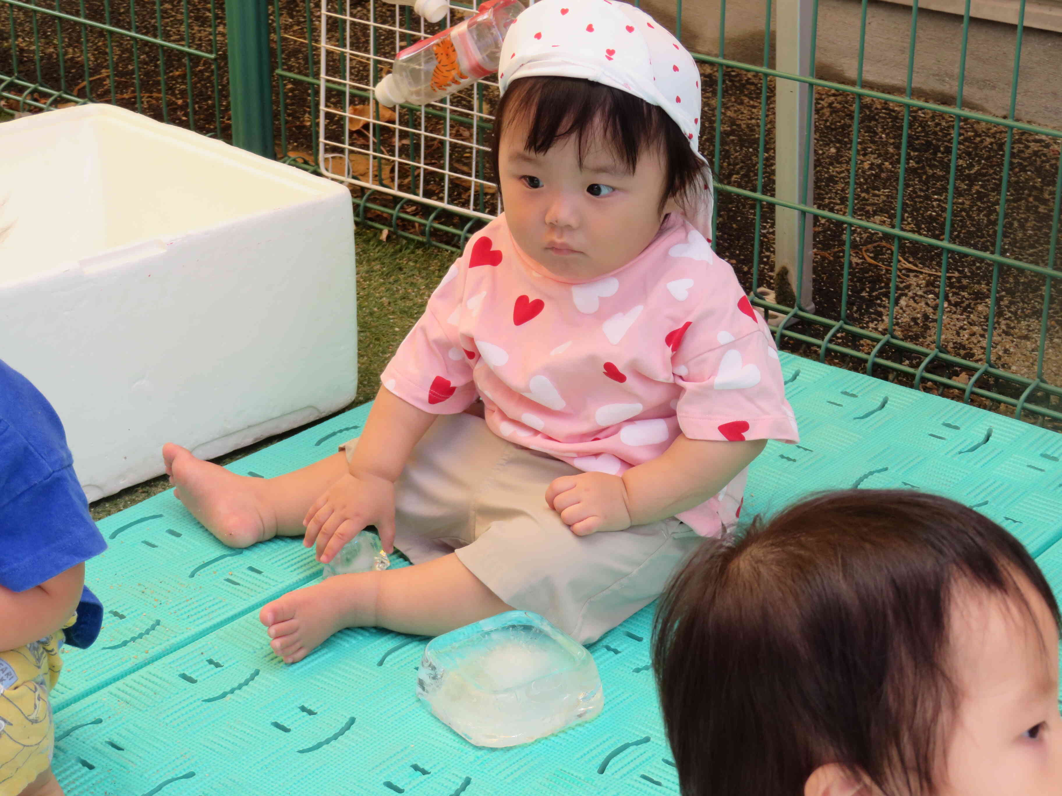 冷たい氷にちょっと驚いていたCちゃんも、氷をつかもうとしますが、つるつるしてなかなか捕まえられないね。