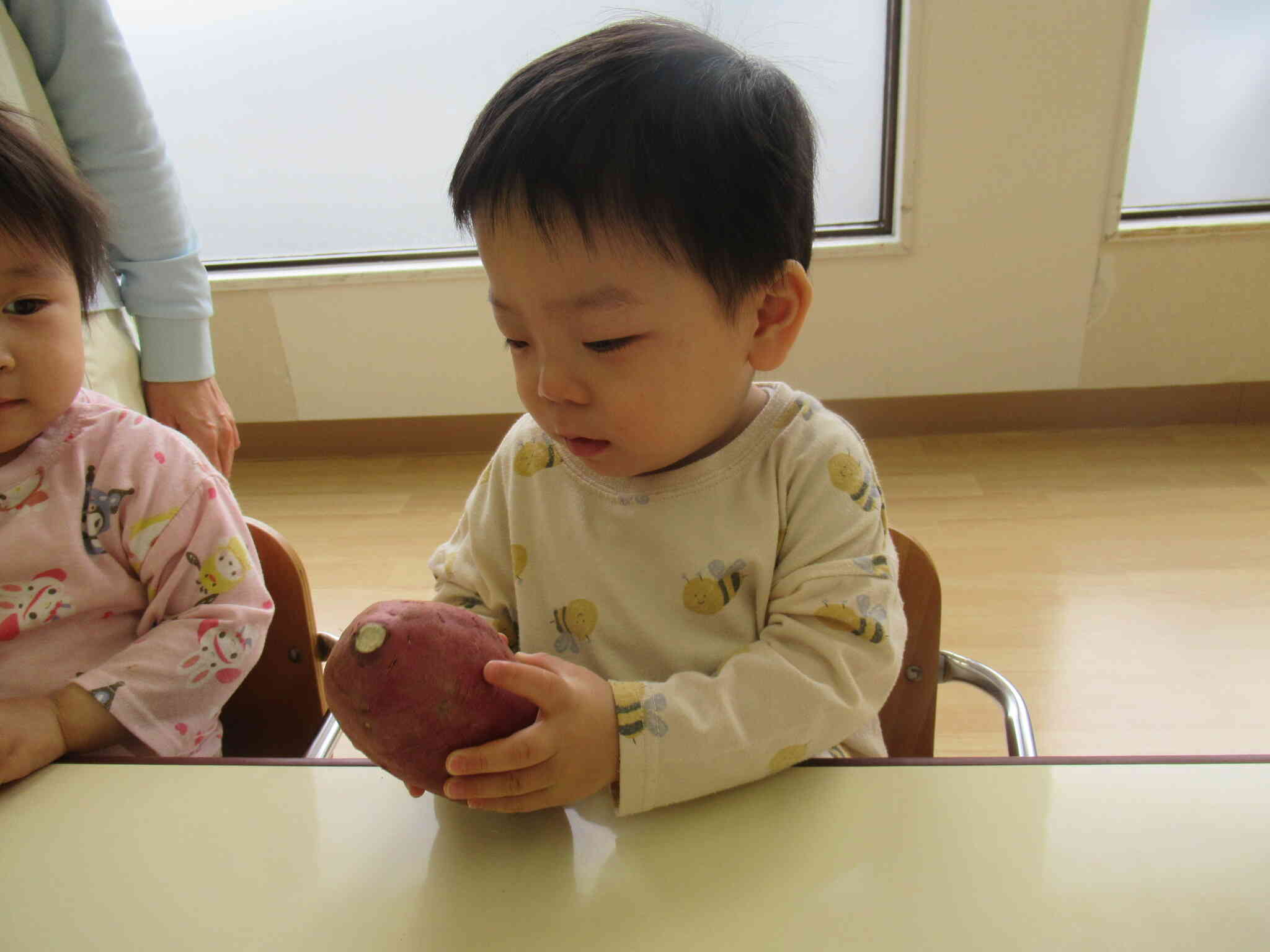 このかたいお野菜はなんだ？！