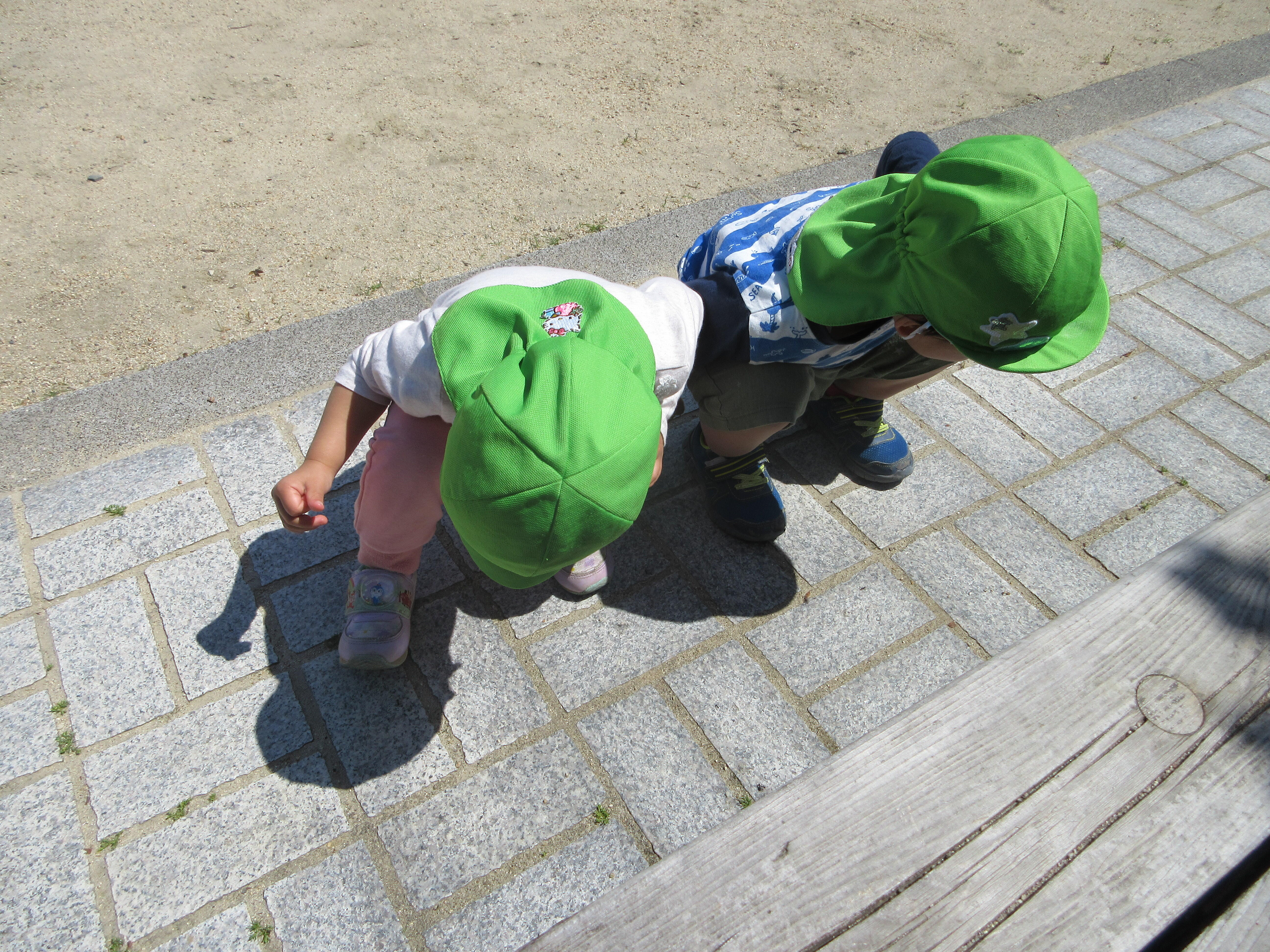 うさぎ組さんの虫探し！