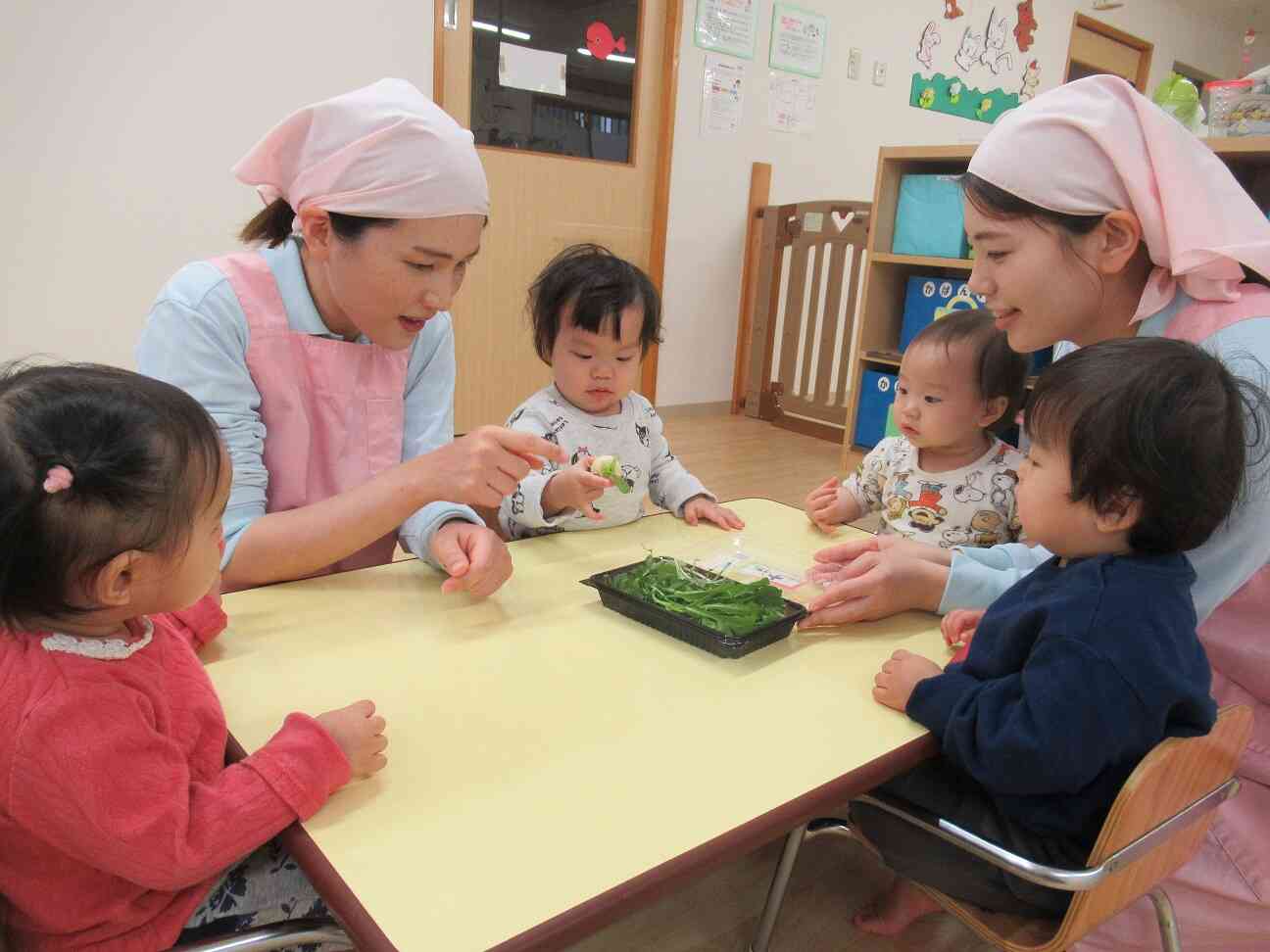 ひよこぐみ（０歳児）さんも七草に触れたよ