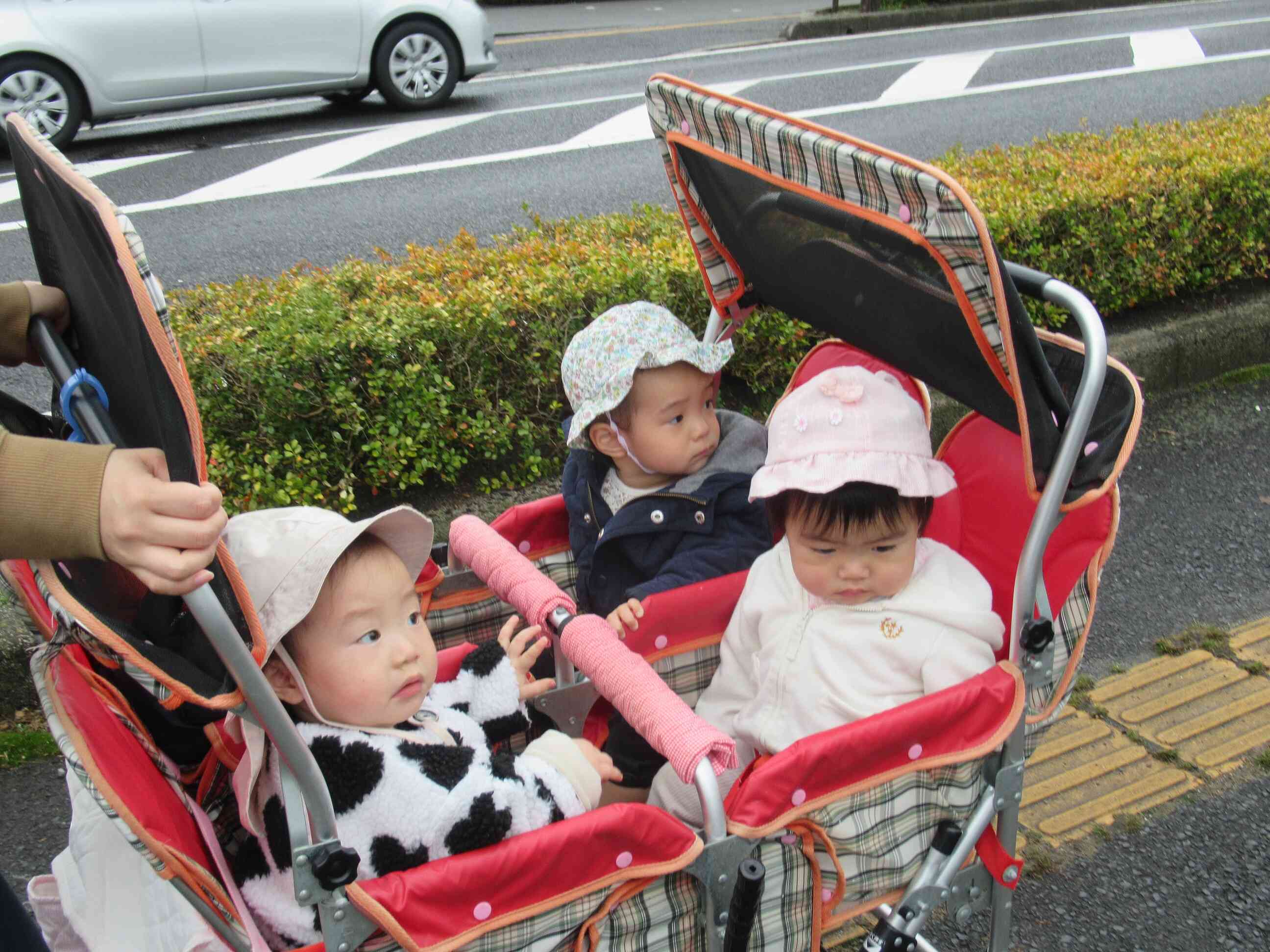 ひよこ組（０歳児）さんのおさんぽ