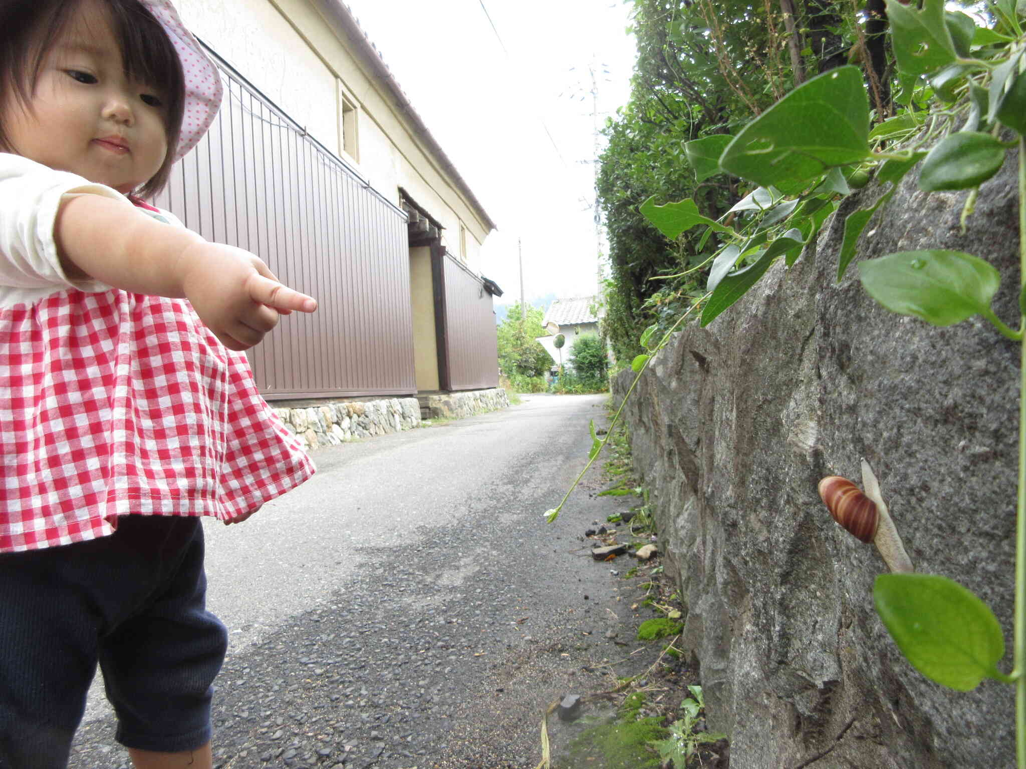 雨上がりのお散歩はワクワクがたくさん！