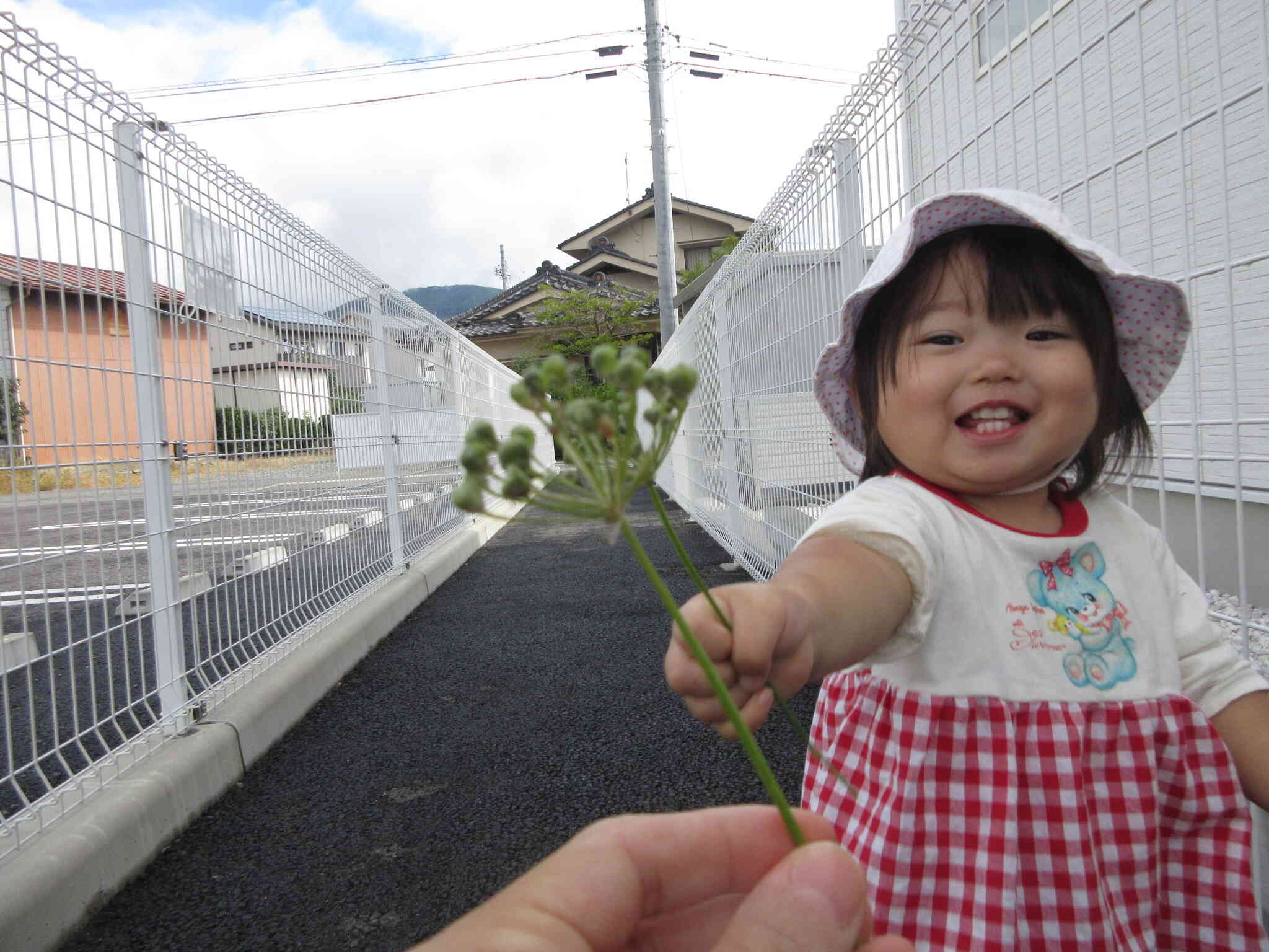 かわいいお花みつけたよ～せんせいどうそ！