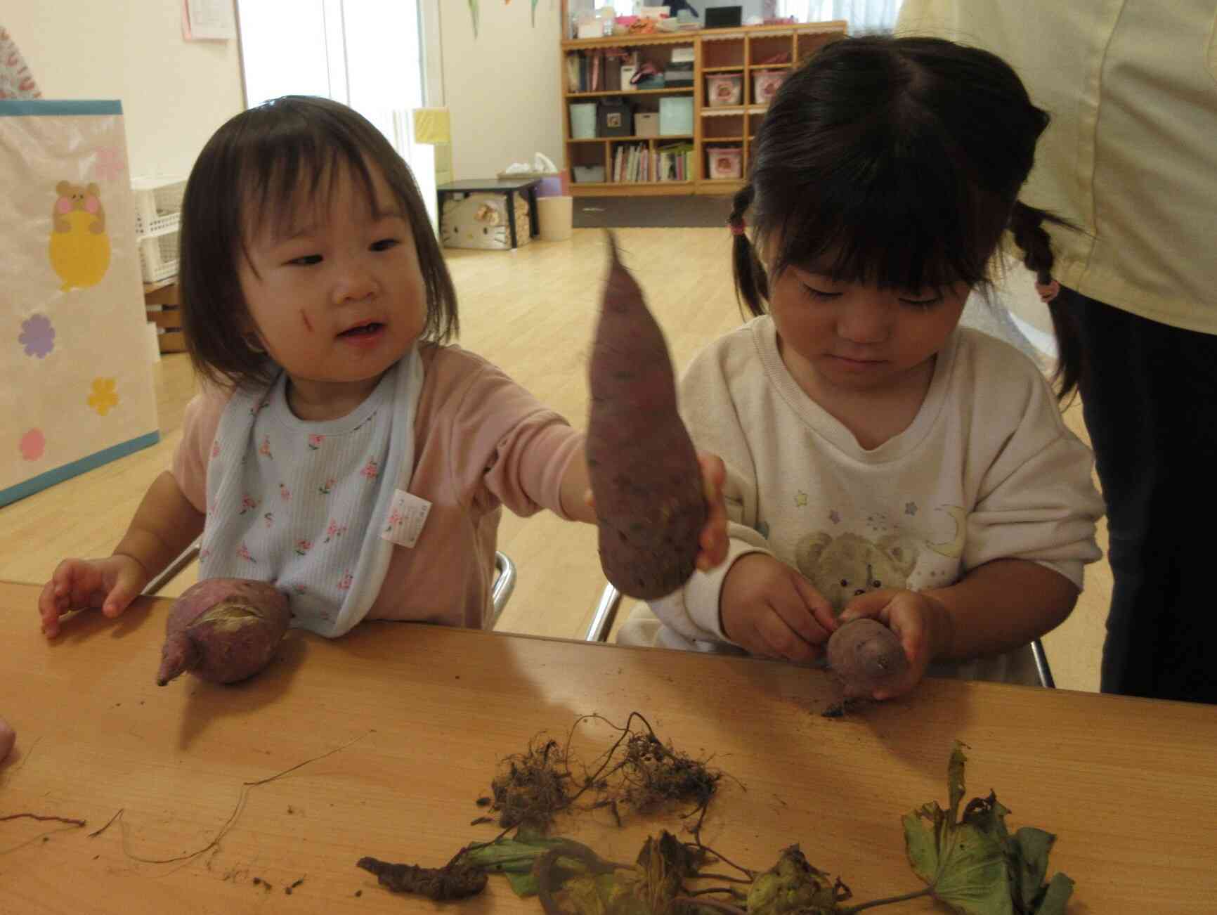 大きいお芋だね～！