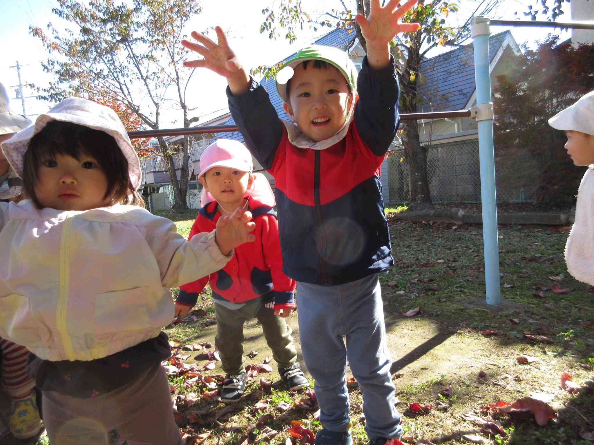 落ち葉パラパラ～！あひる組さんも一緒に遊んだよ♪