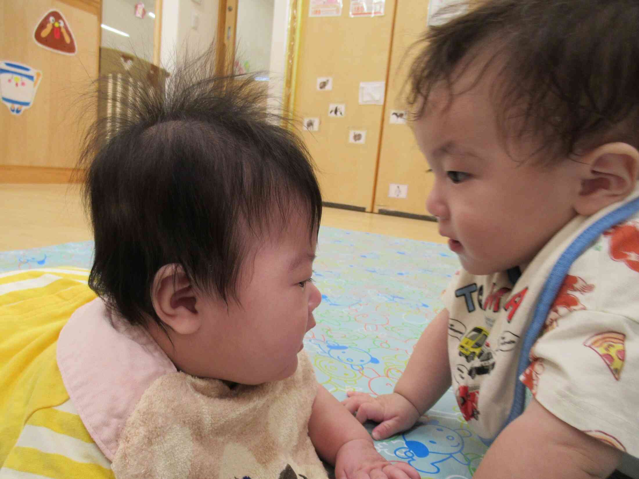 お友だちの存在に気づいたようですよ♡何とも微笑ましい瞬間のショットです。