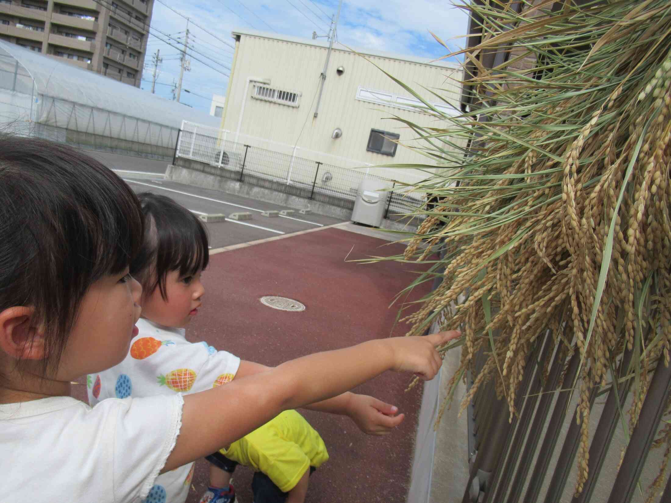 「この中にお米が入ってるの？」「ごはんになるんだって！」そんな会話をしていましたよ。