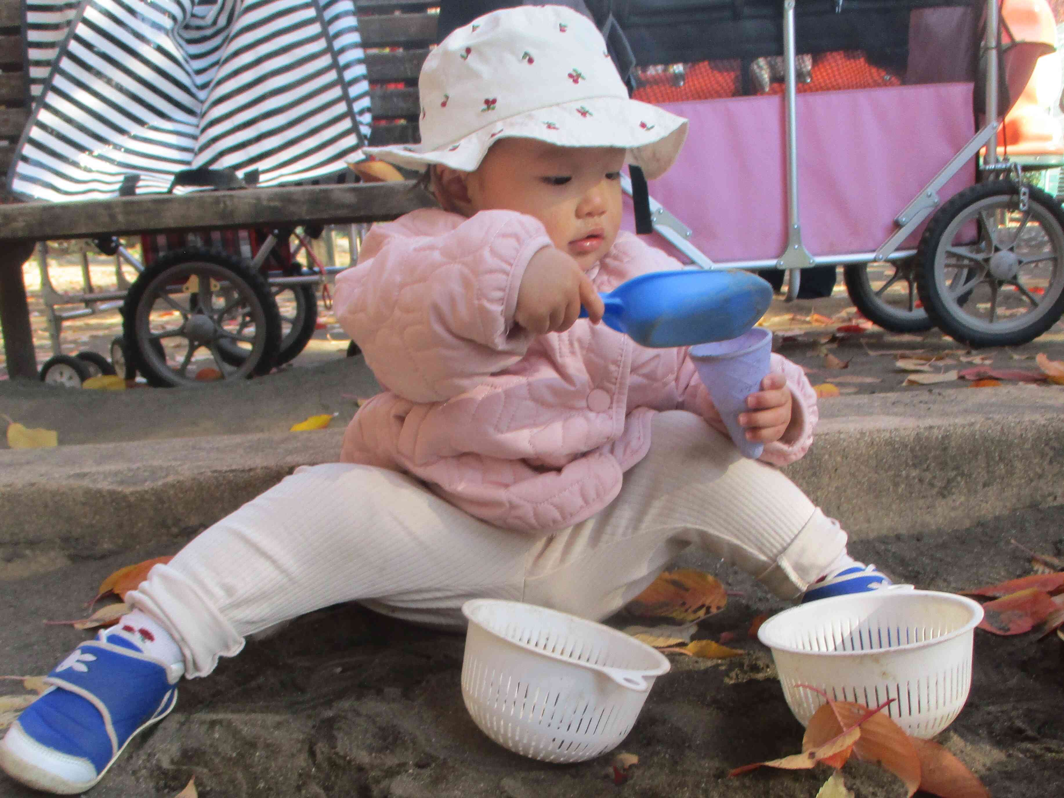 ひよこ組さんのお散歩成長記録(０歳児・ひよこ組)