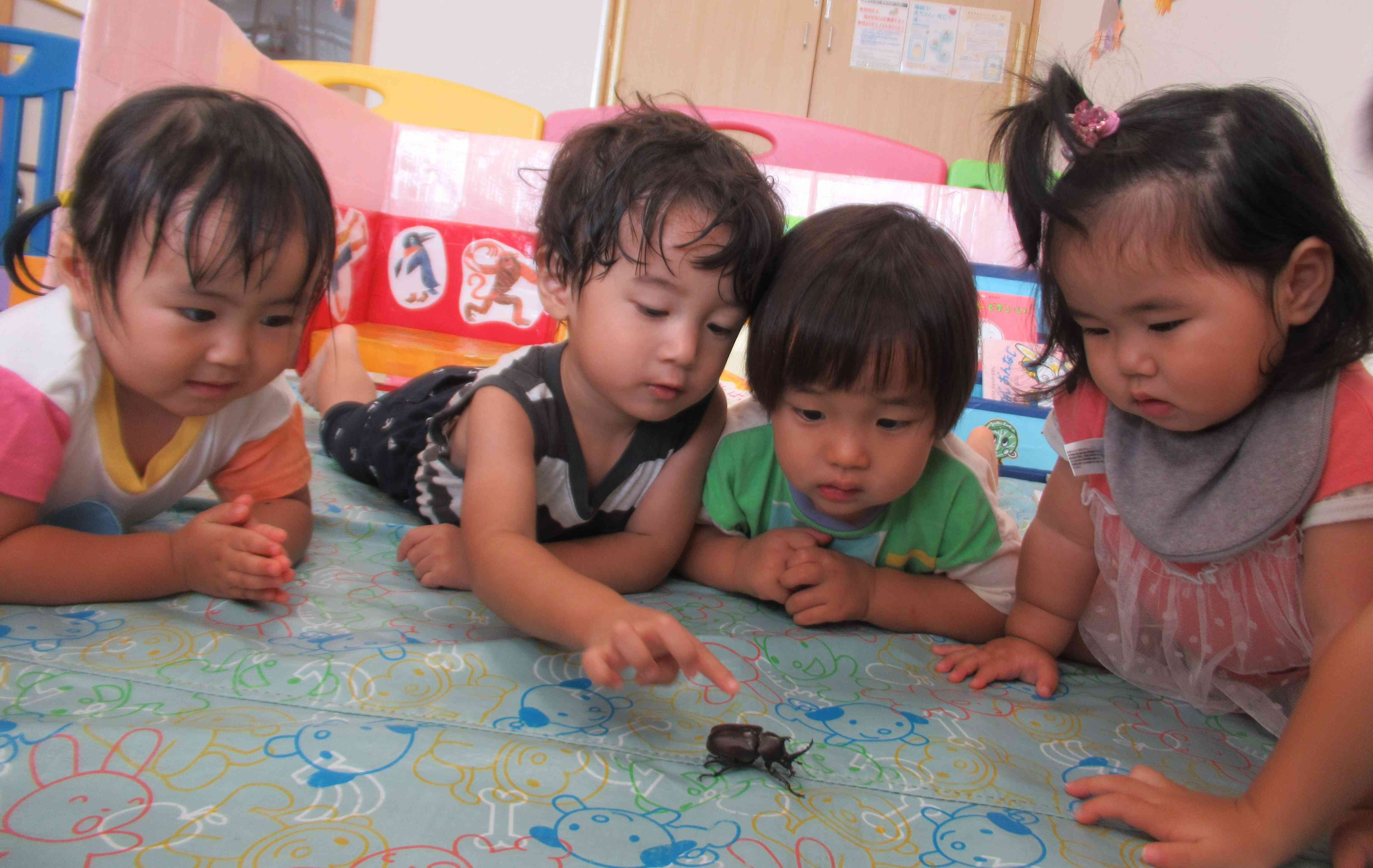 かぶとむしに興味津々の子どもたち