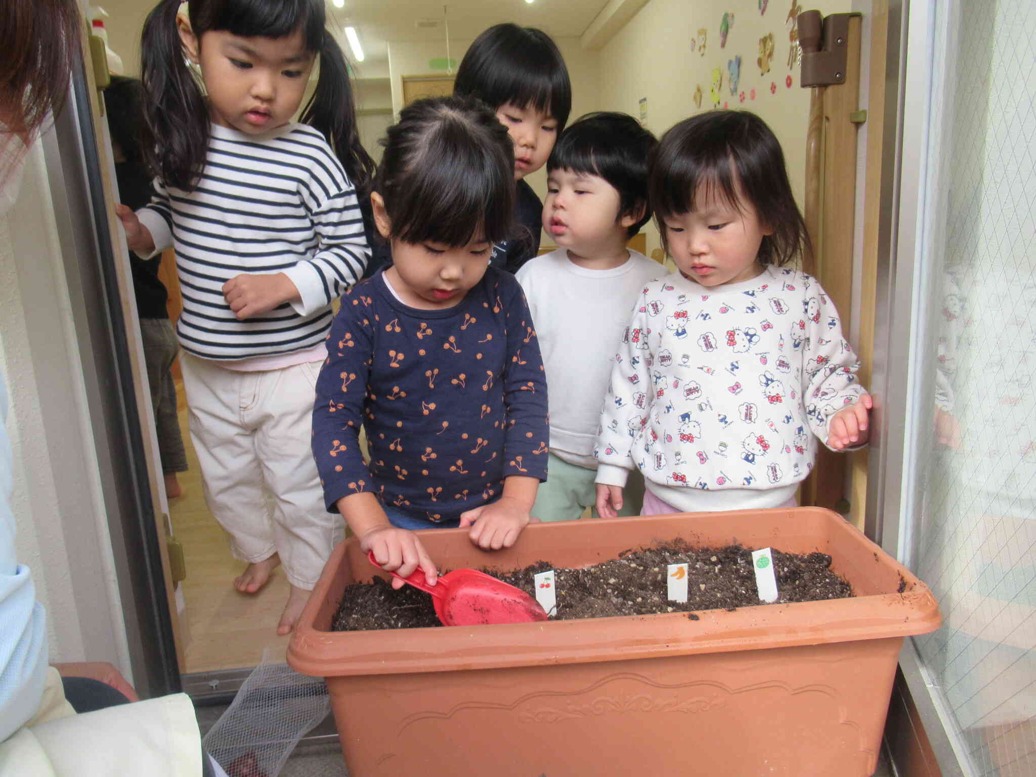 チューリップ植え～2歳児うさぎぐみ～