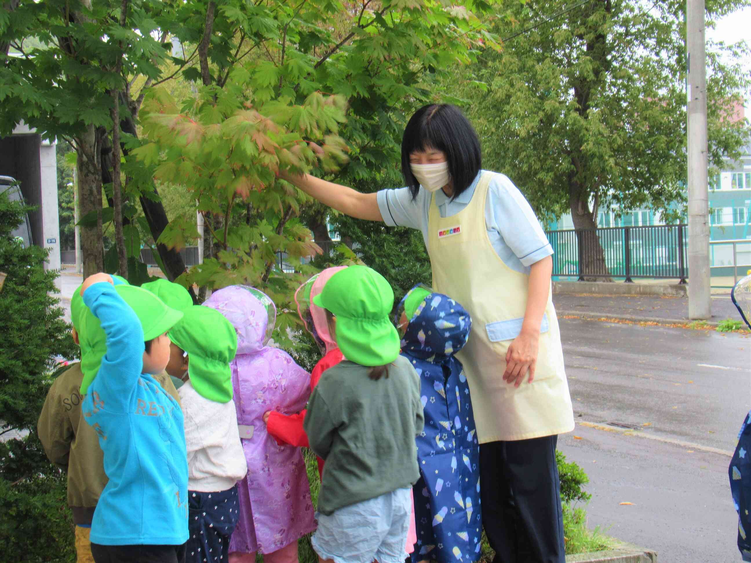 葉っぱにも雨が落ちてきているのを見つけたよ♪