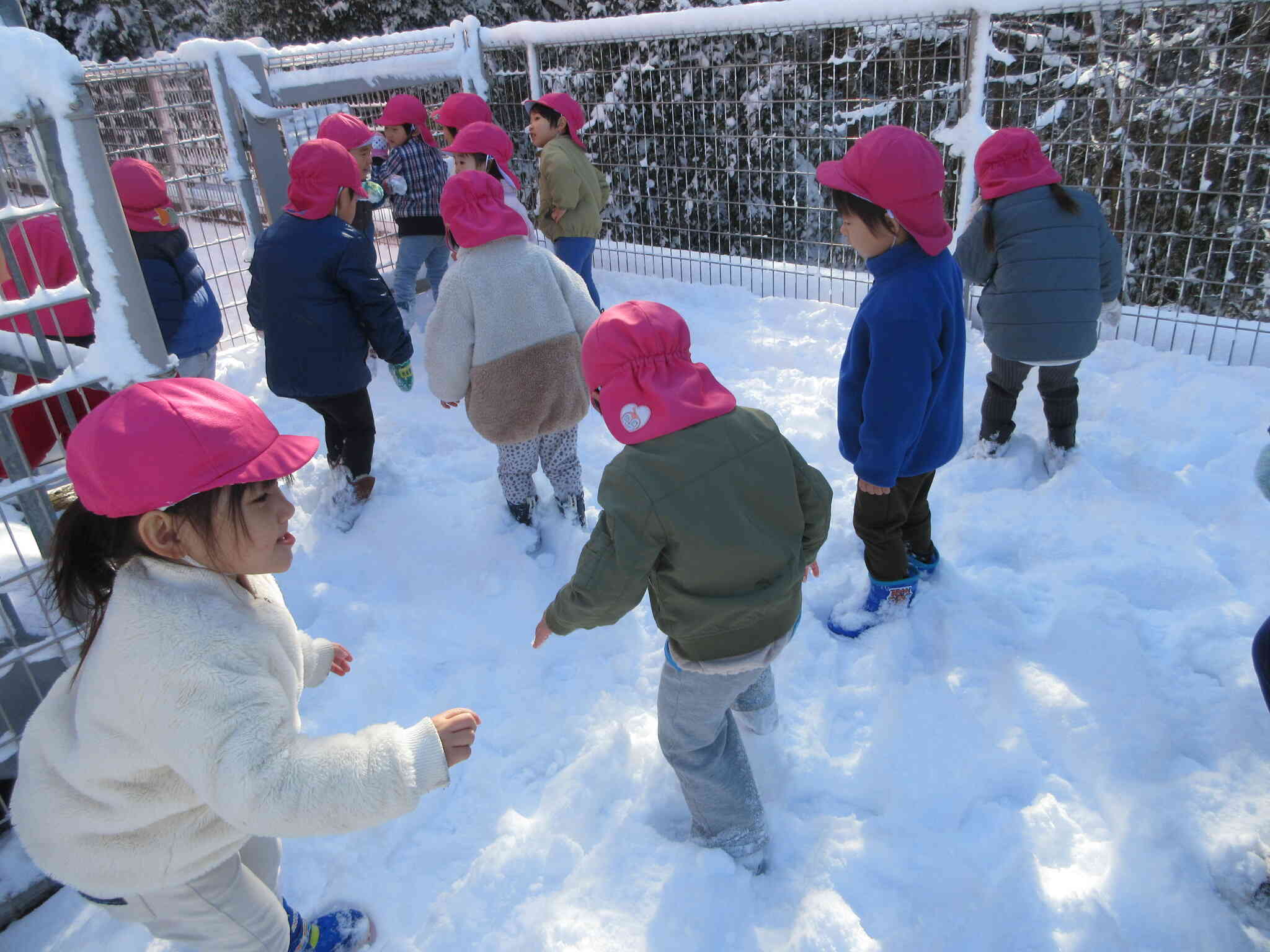 雪、氷遊び（2歳児）