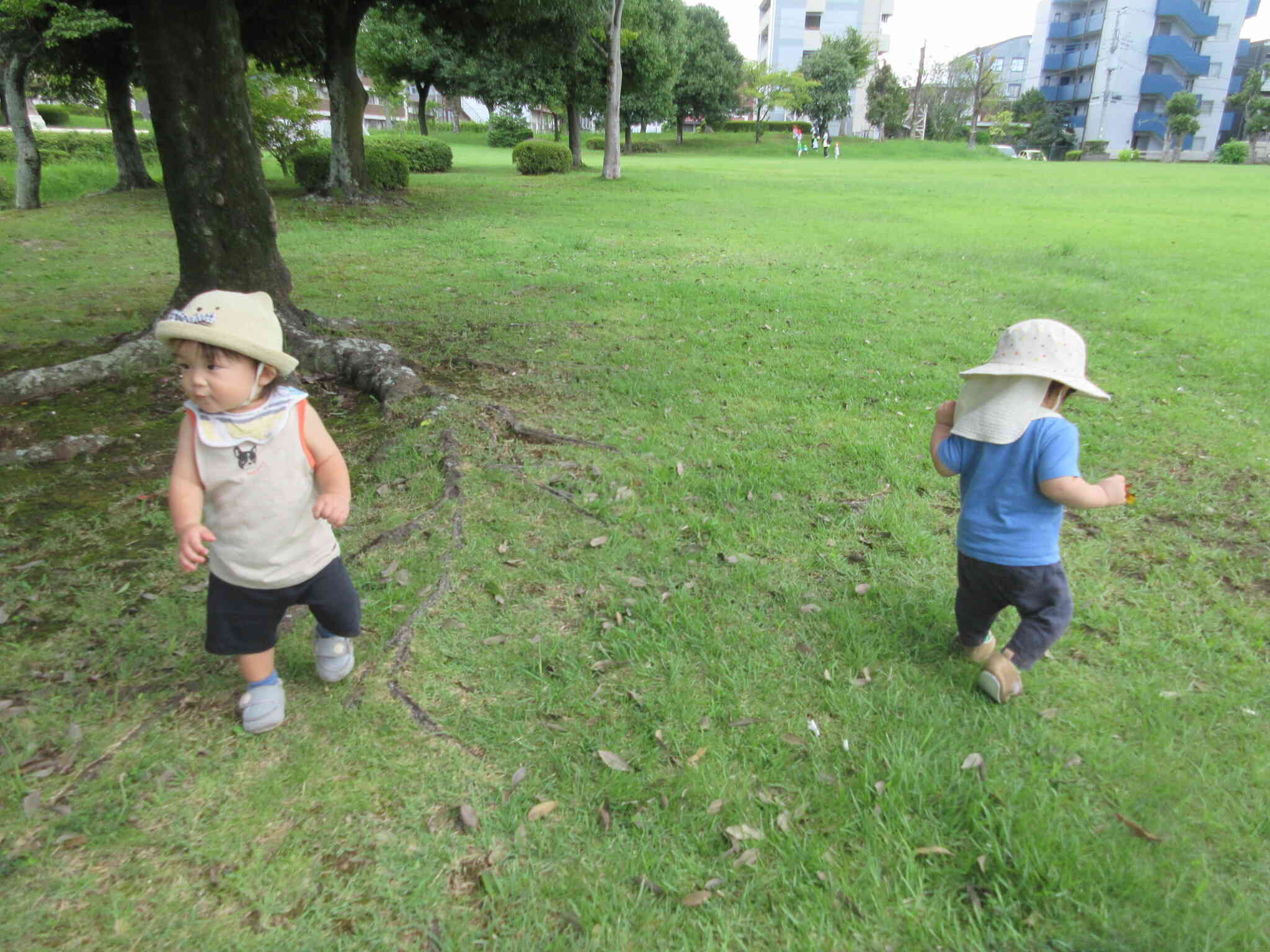 今週のひよこ組(０歳児)