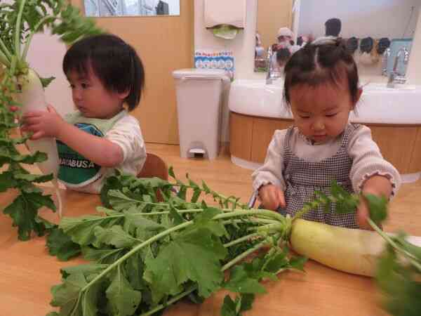 名前も色々たくさん野菜！