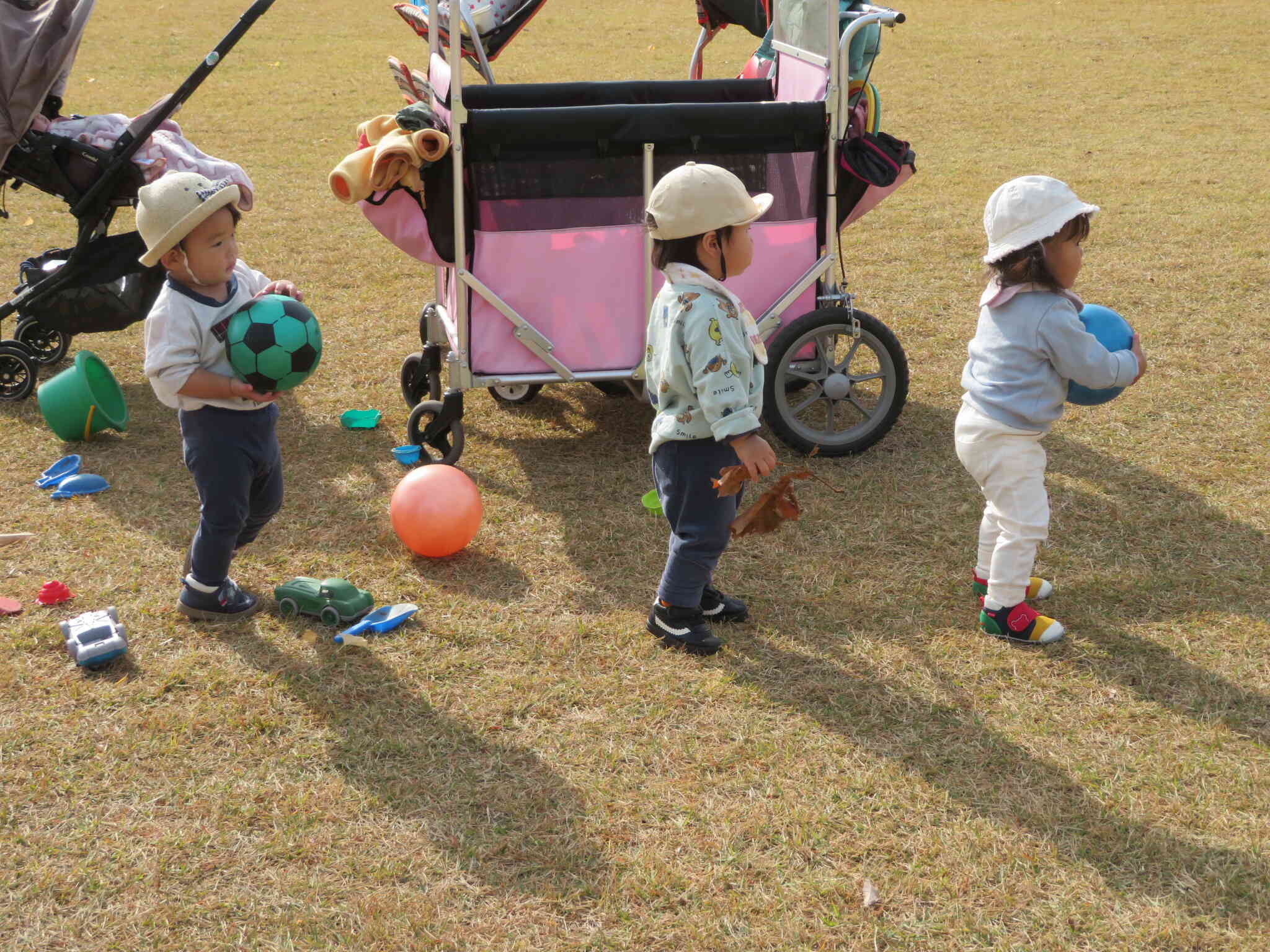 公園近くを通る車にみんな夢中…！並んで見つめる姿が可愛らしいですね。