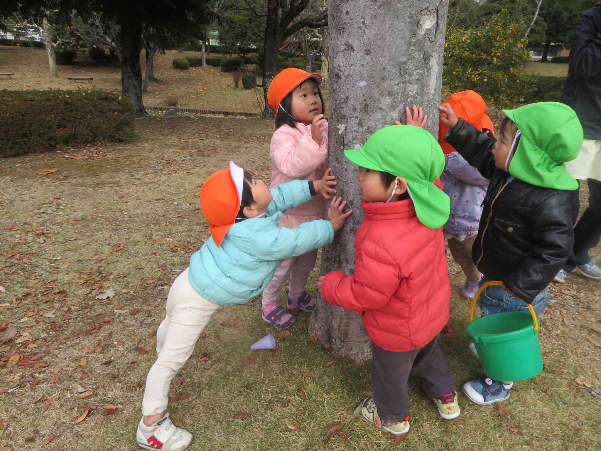 「おすもうくまちゃん～♪くまのこちゃん～♪」みんなで大きな木をどすこい！どすこい！　公園での可愛いひとコマです！