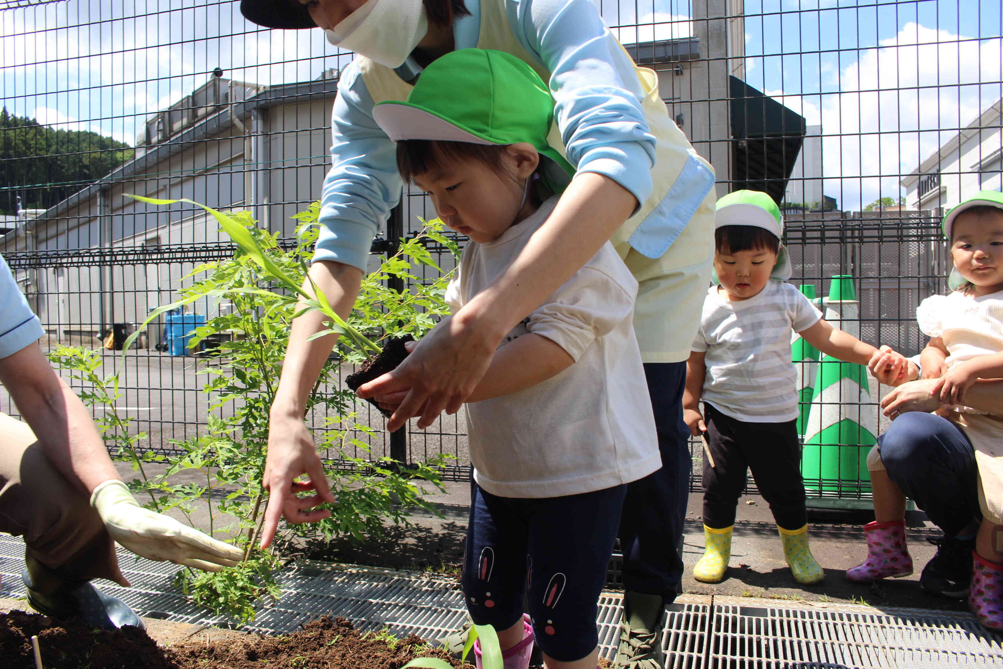 あそこの穴に植えてみてね。