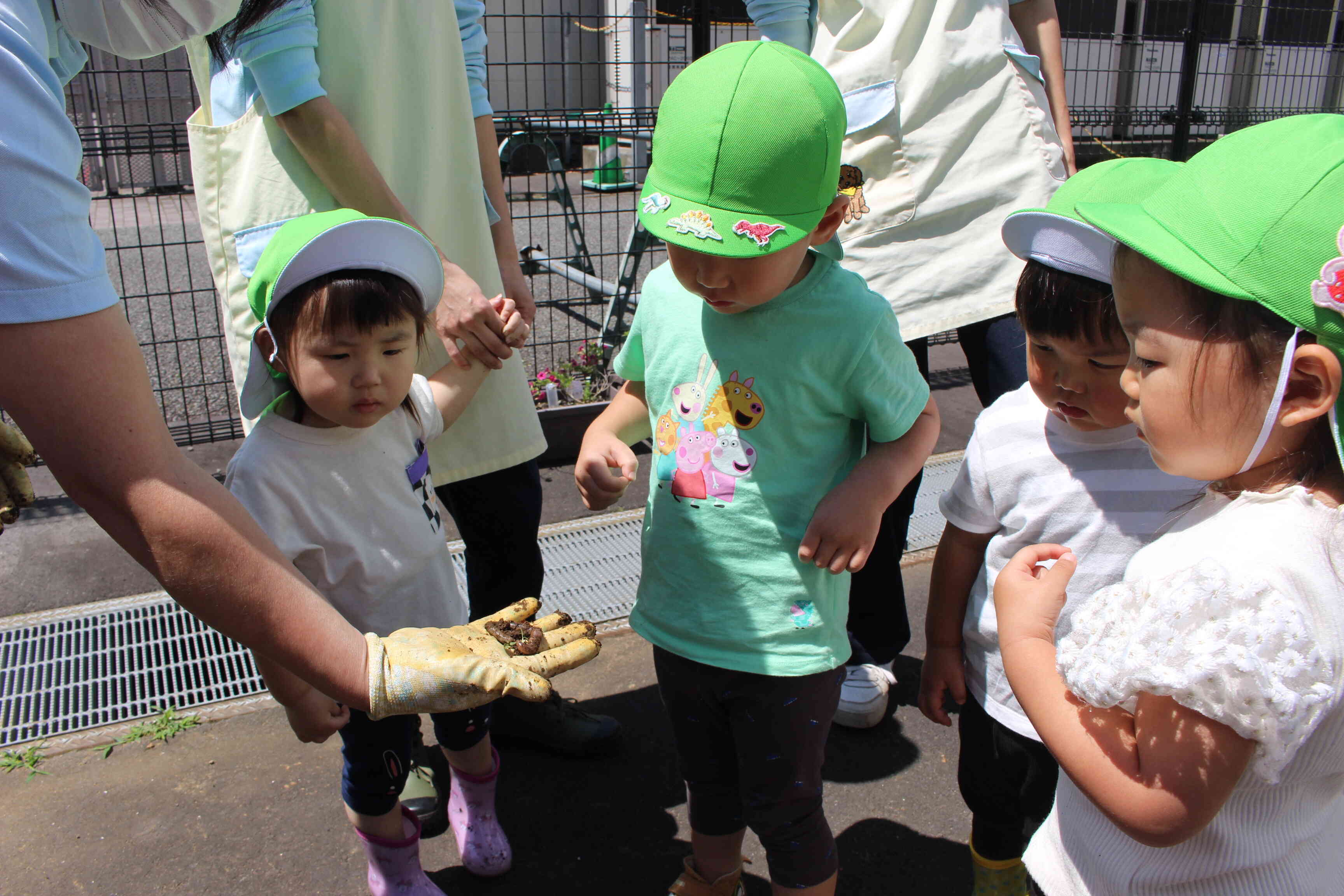 ミミズいたよ！動いているよ、子どもたちはじーっと見て「こわーい」って言っていました。