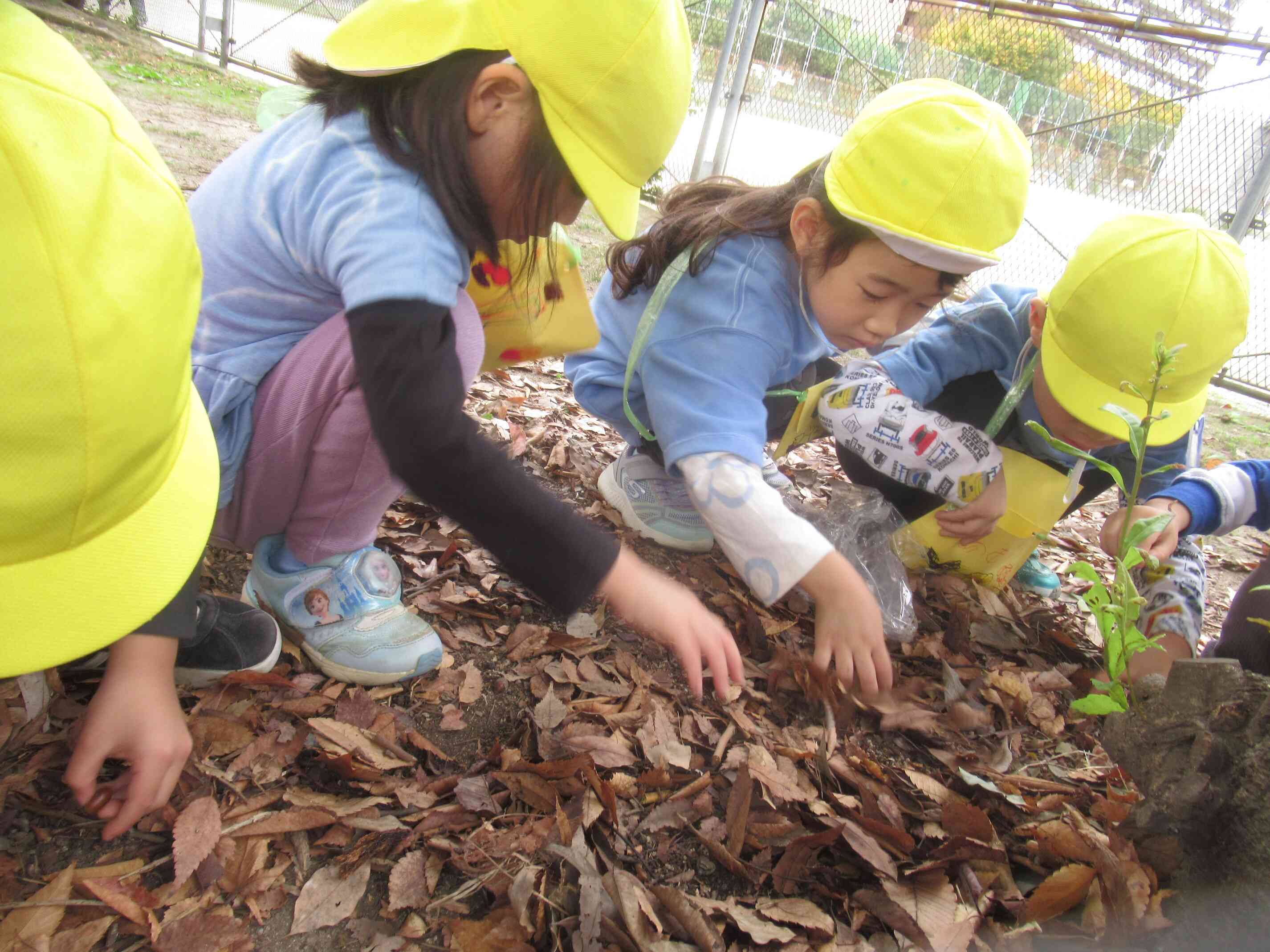 りす組・ぱんだ組初めてのおさんぽ遠足