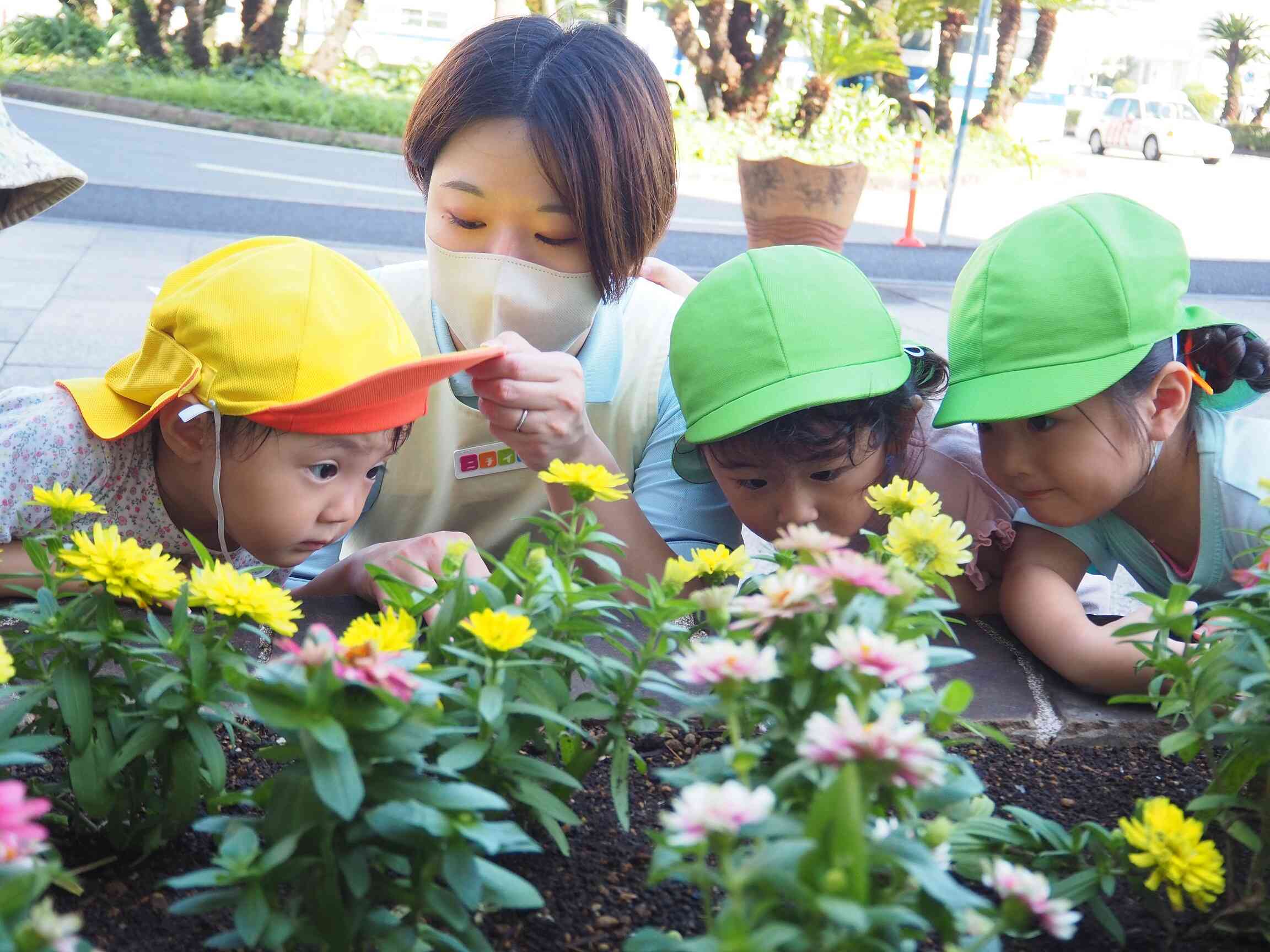 少し涼しくなったので久しぶりのお散歩♪花壇の虫さん探しに夢中です