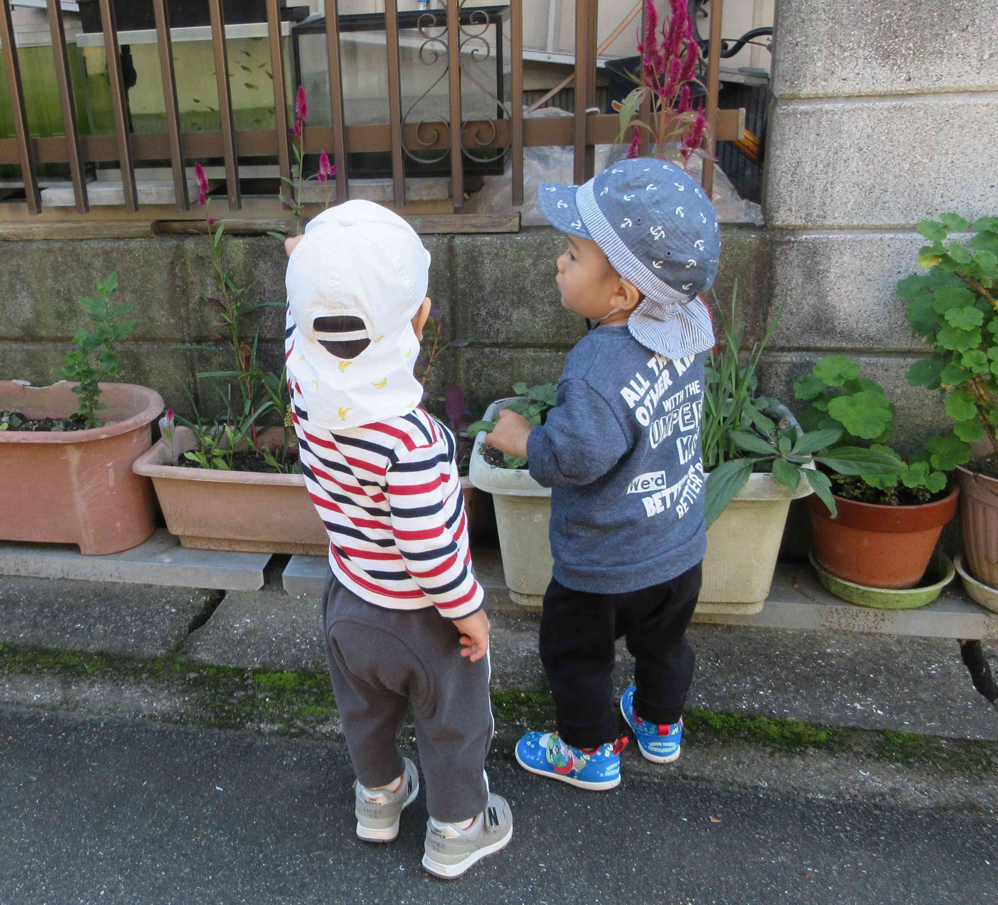 ここにお魚がいるんだよねっ。