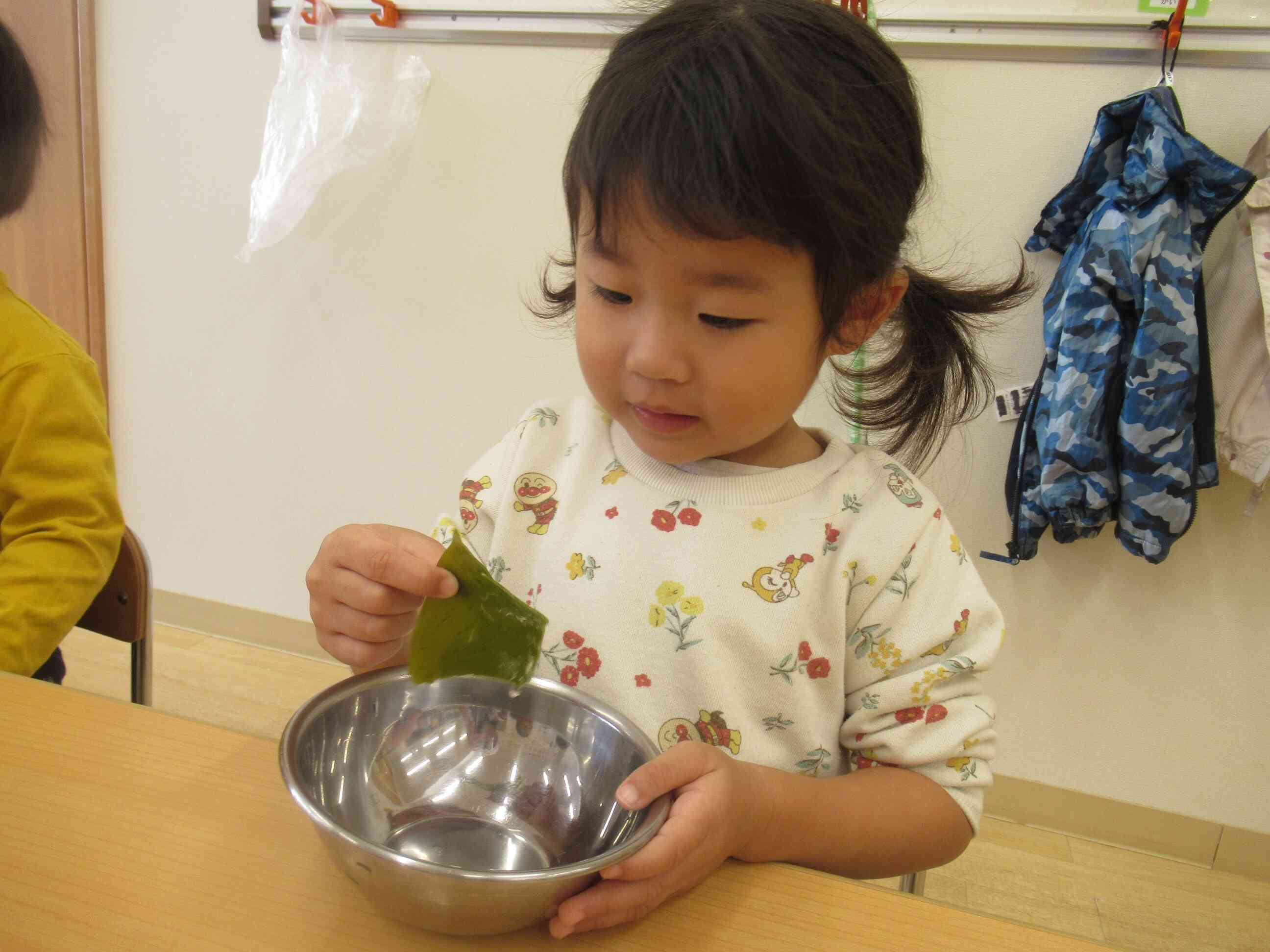 昆布を水に浸けたら、大きくなったよ！