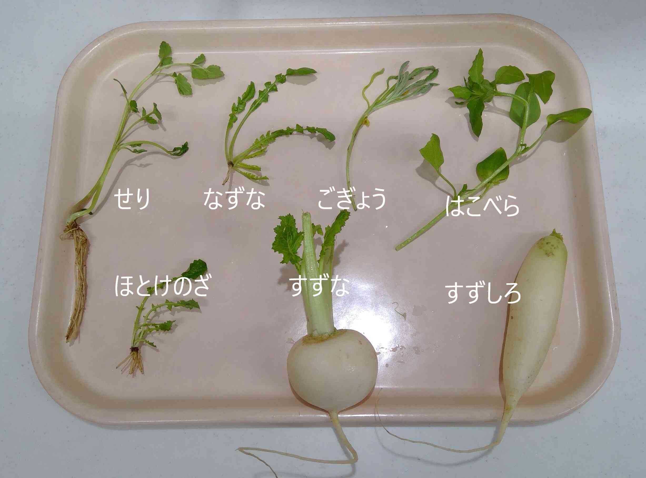 ～１月の食育活動～