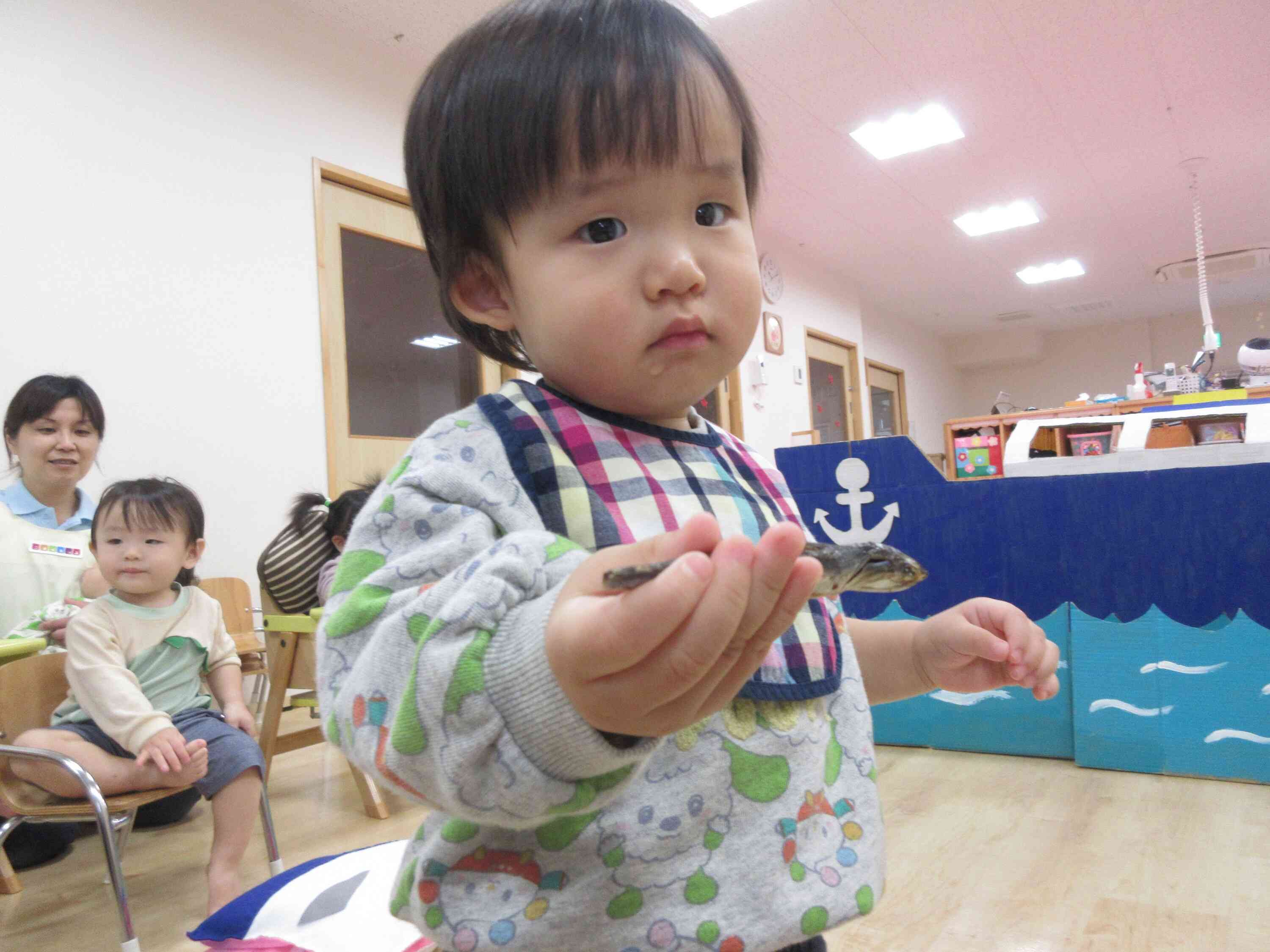 本物の煮干しをさわってみました。小さなお魚からもたくさんの「だし」が出るんだよ