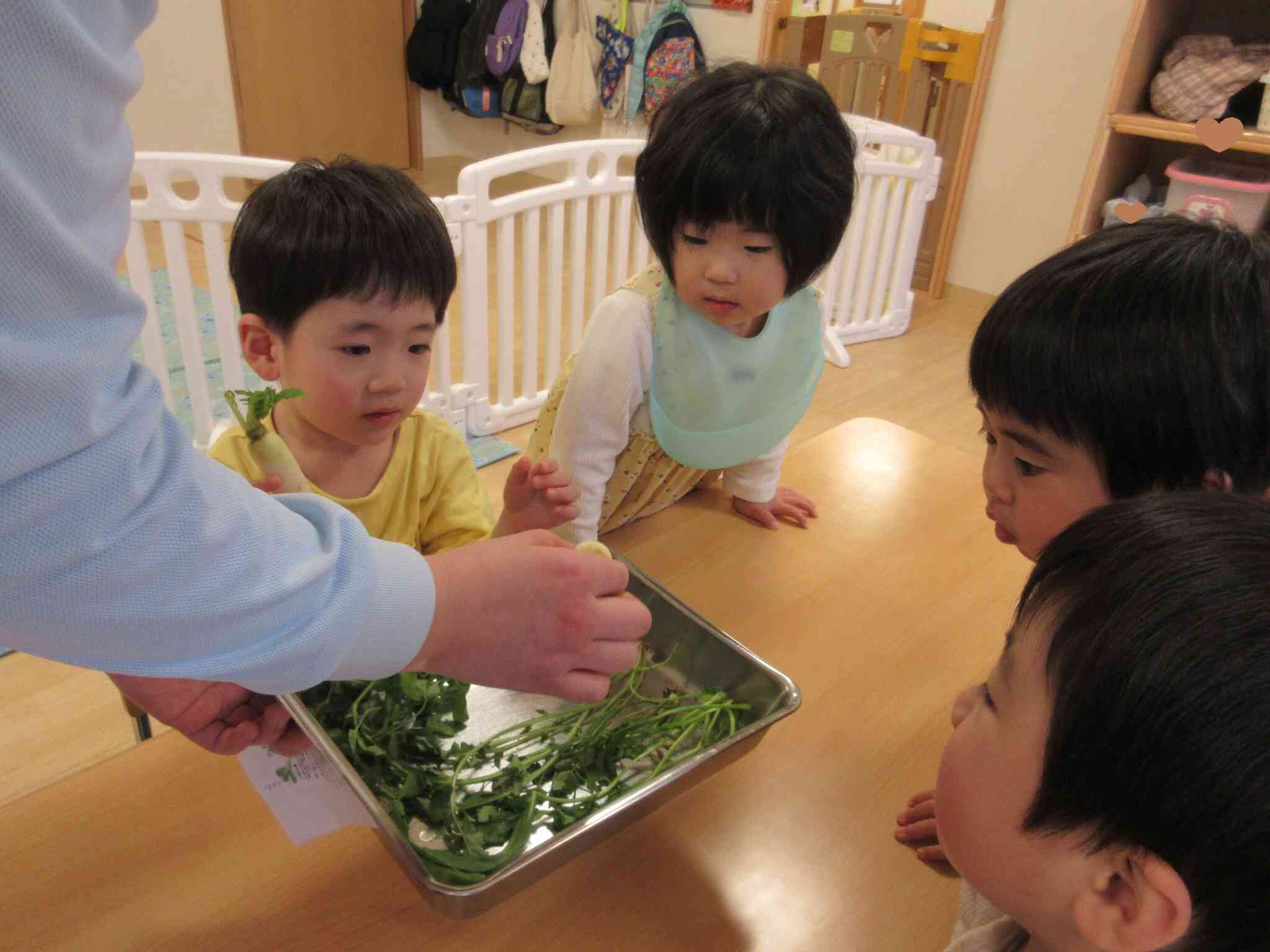 新春の訪れ～春の七草～