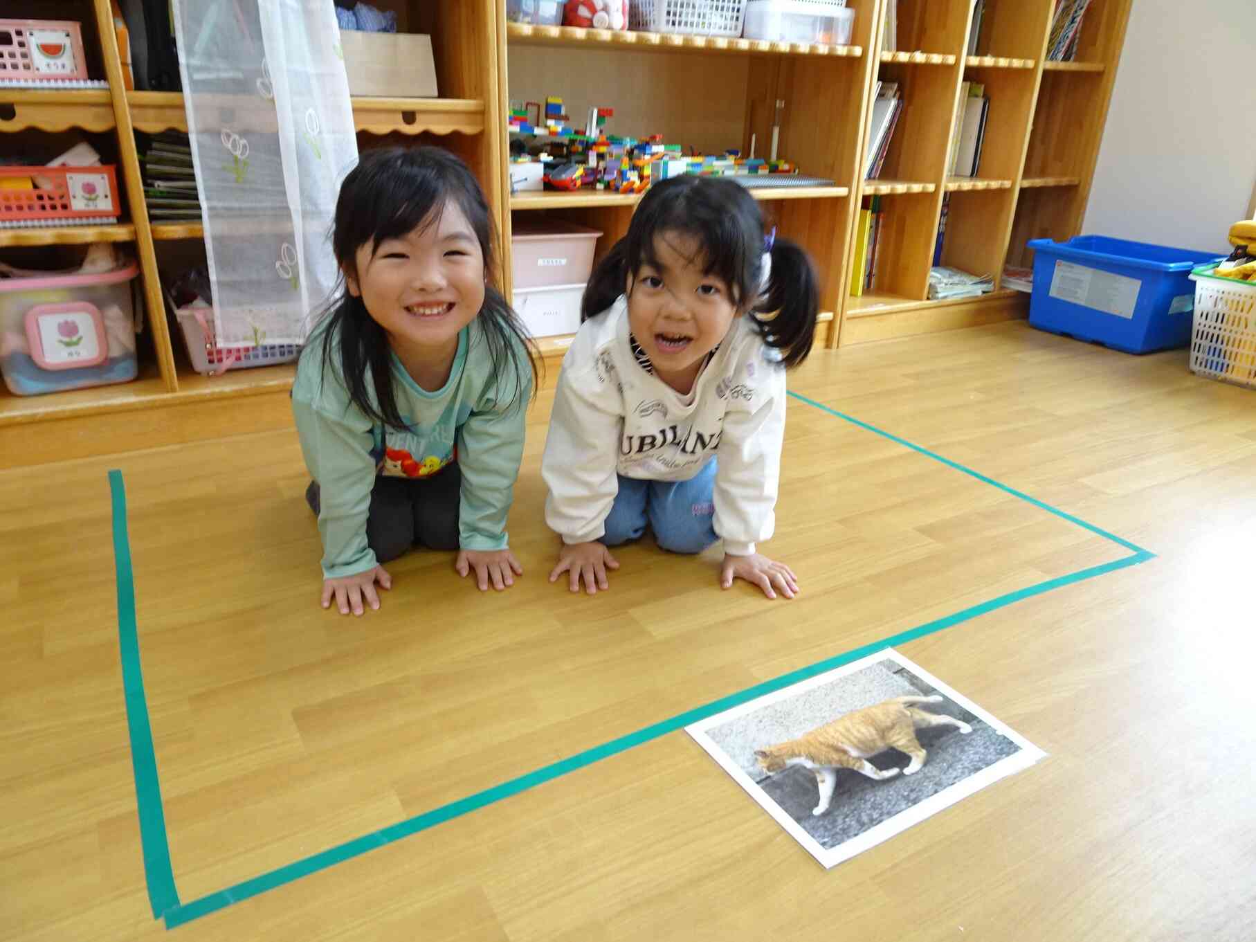 可愛いネコがいる！「さわってニャー！」