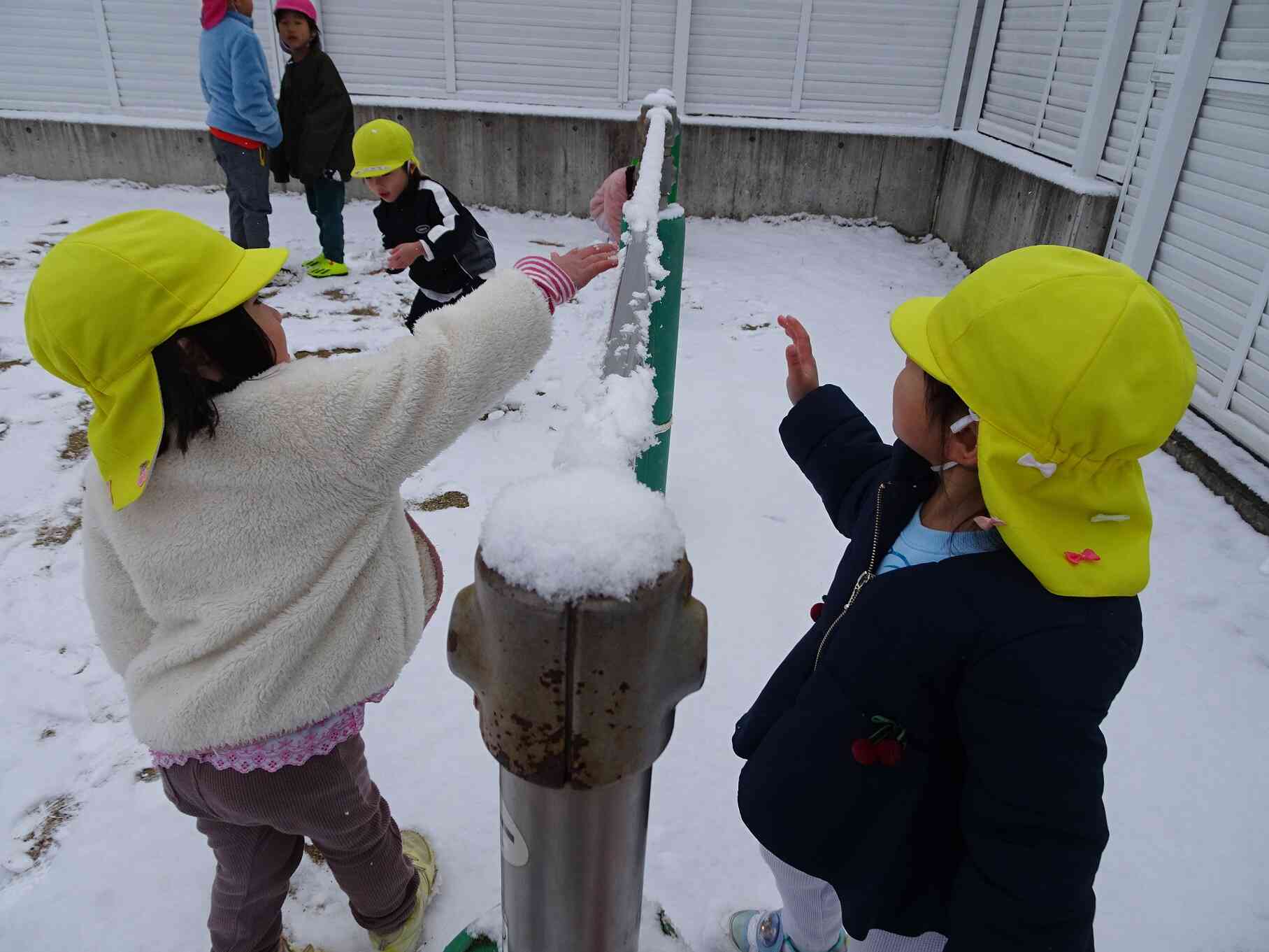 こんなところにも雪が積もってる！