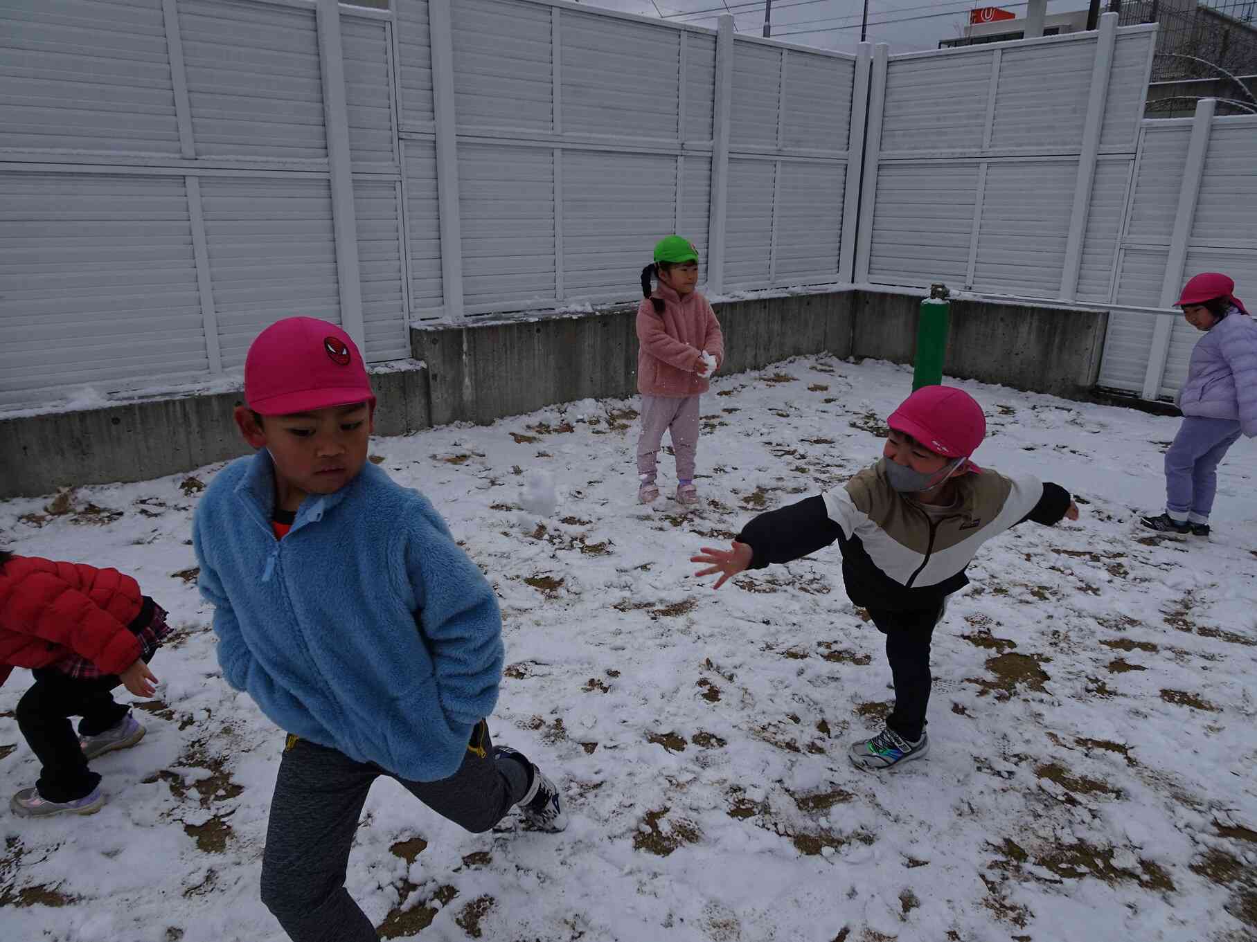 「えいっ！」「まて～！」と友だちや保育者と雪合戦対決！