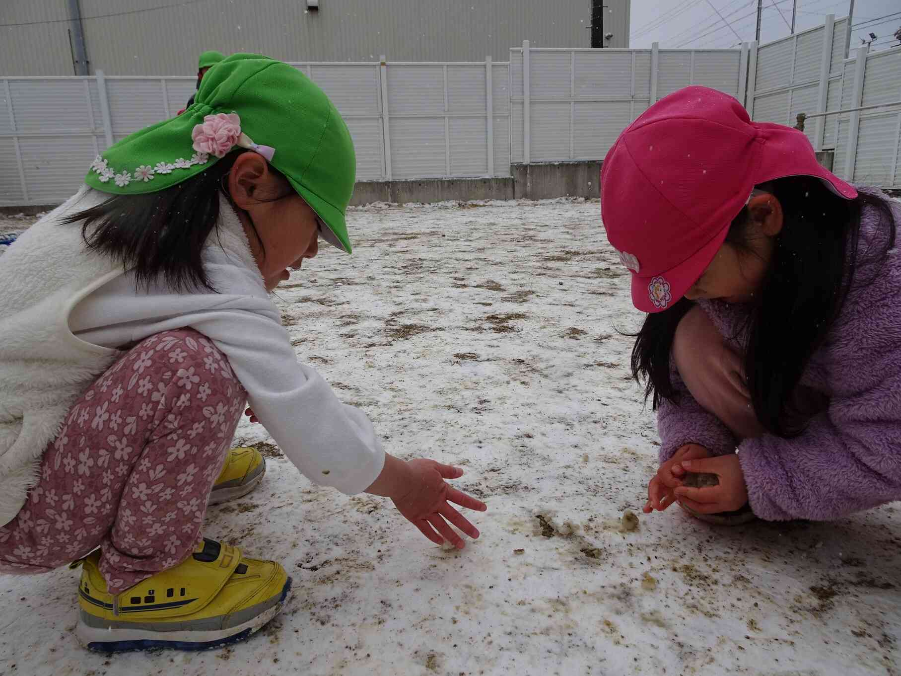 「ゆきだるまつくろ～」と雪を丸めて小さな雪だるまを作ったよ！