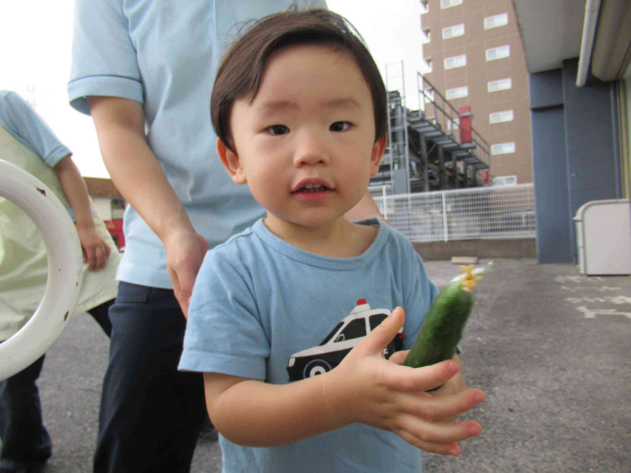 食育で育てたきゅうりを収穫しました。食べるのが楽しみ！