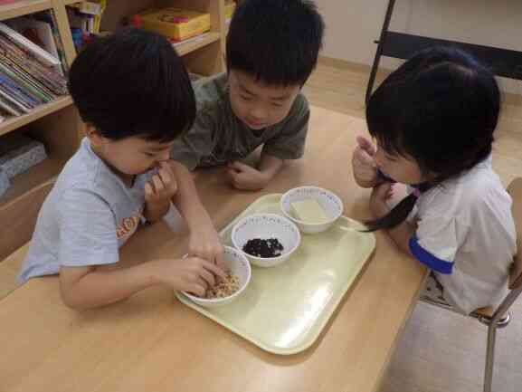 食育★乾物に触れよう