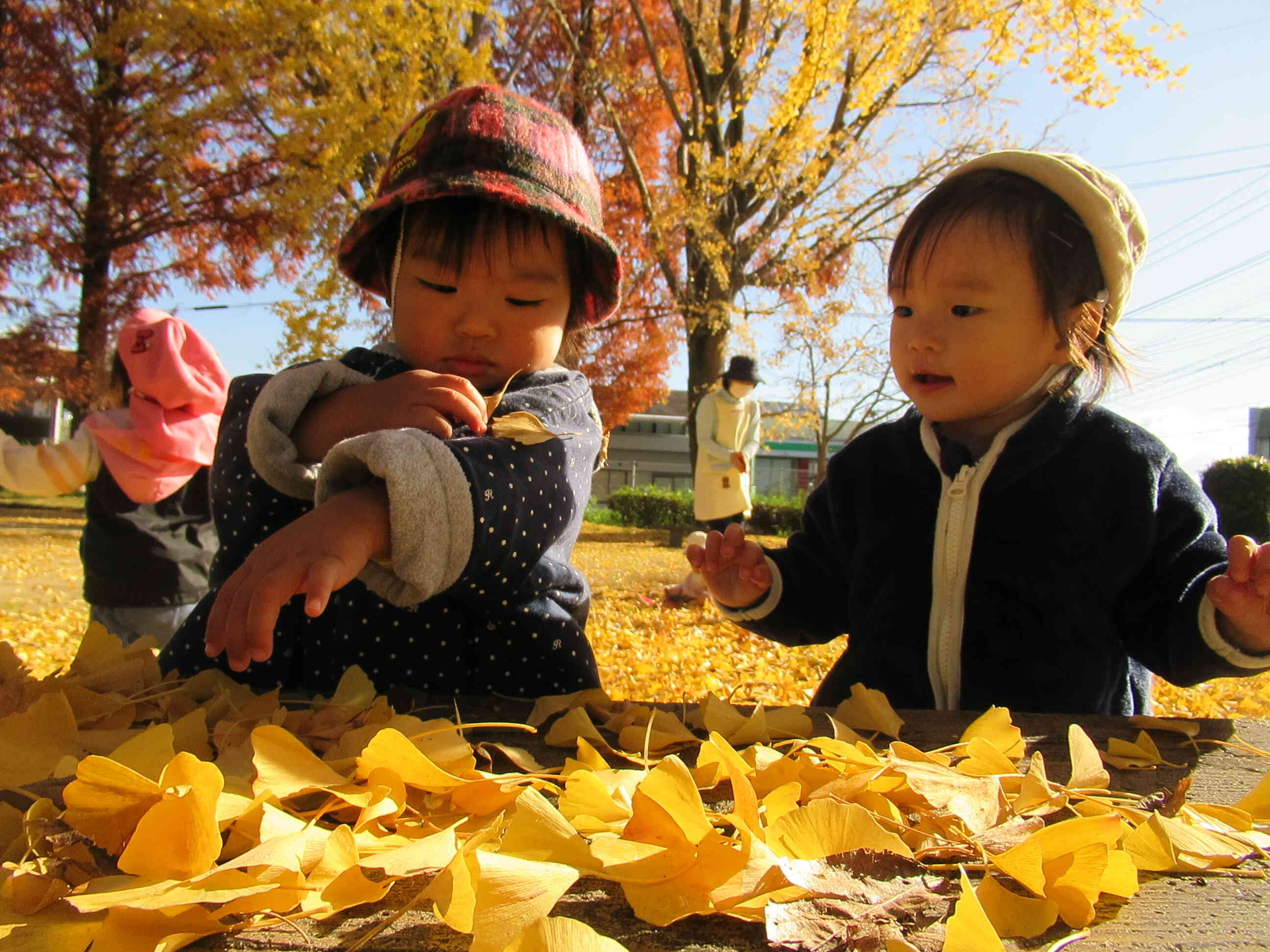 紅葉がきれいだったね～☆