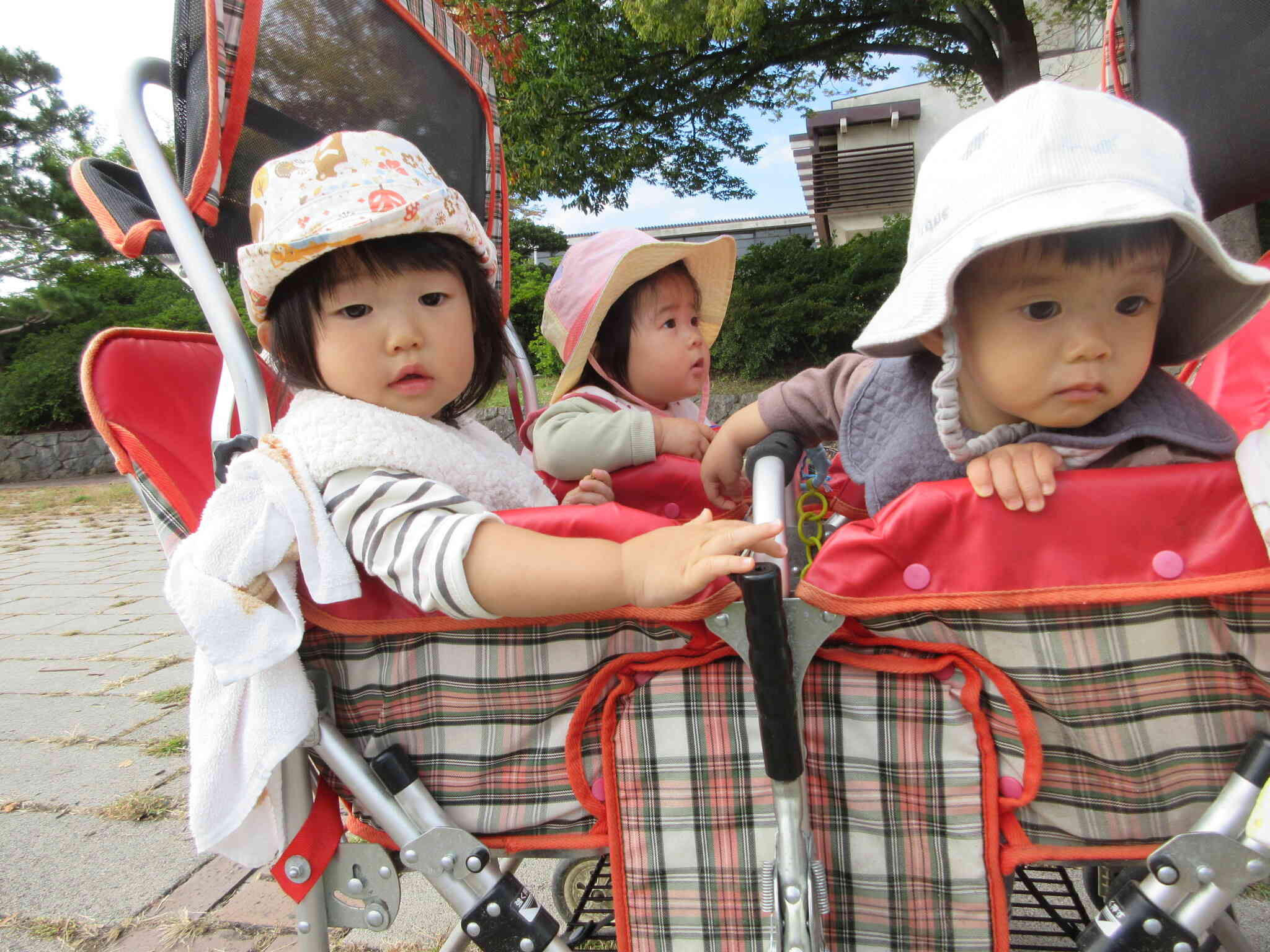 秋の散歩　～０歳児　運動公園緑マット～