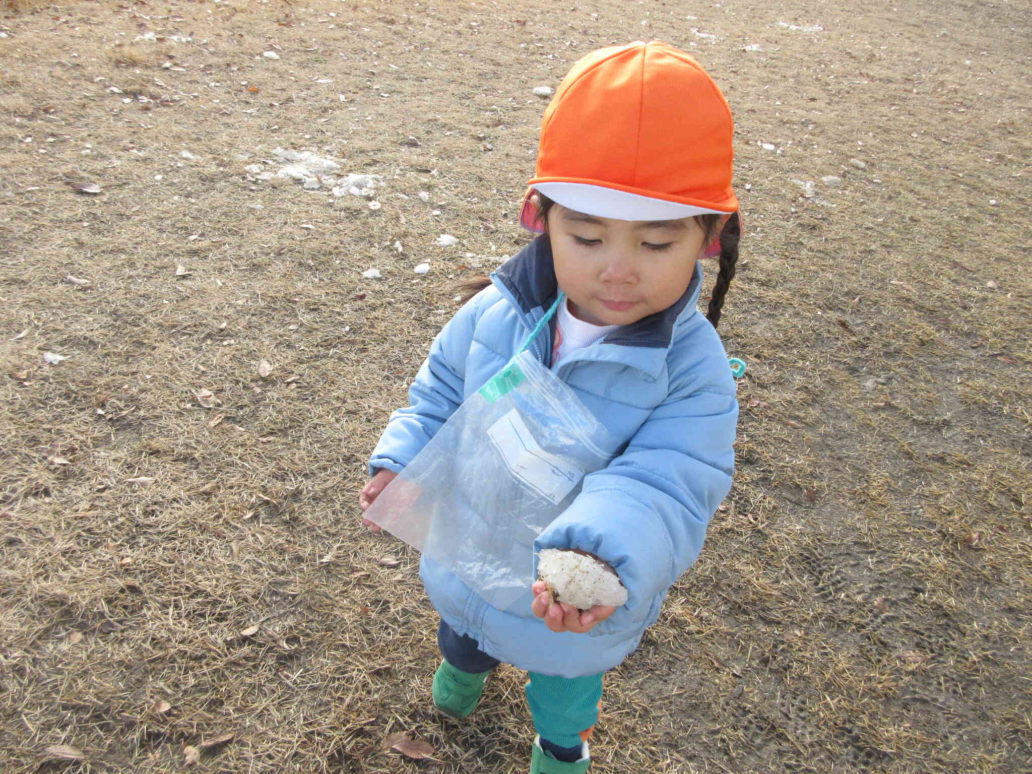 氷のお土産、バックに入れたいな。