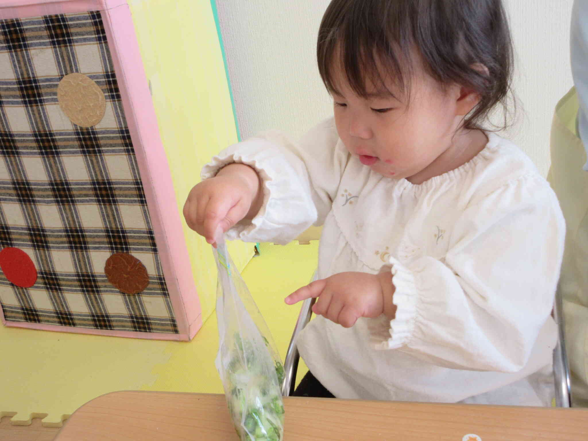 食育～野沢菜を触ってみよう～