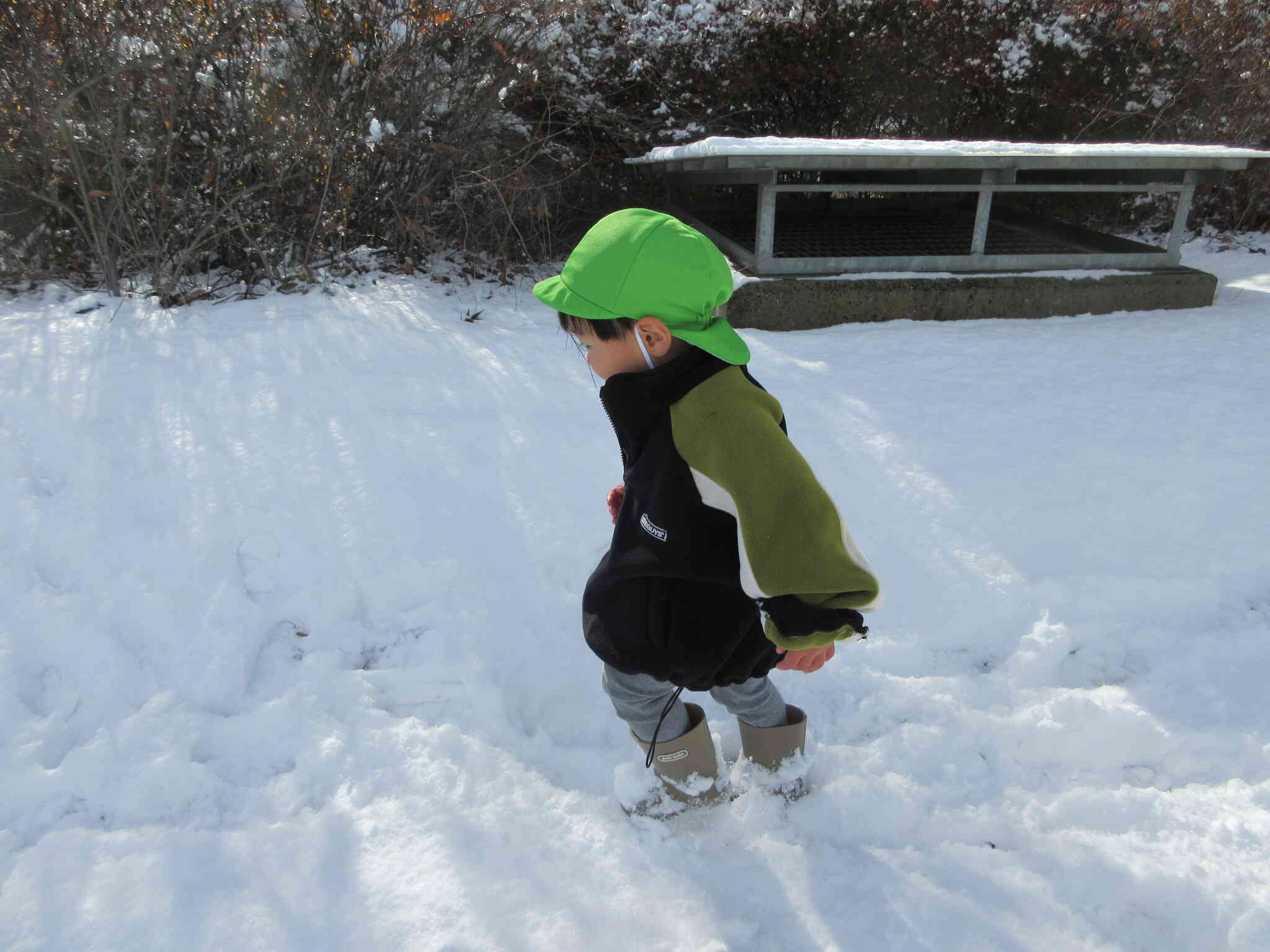 雪がフカフカだよ！