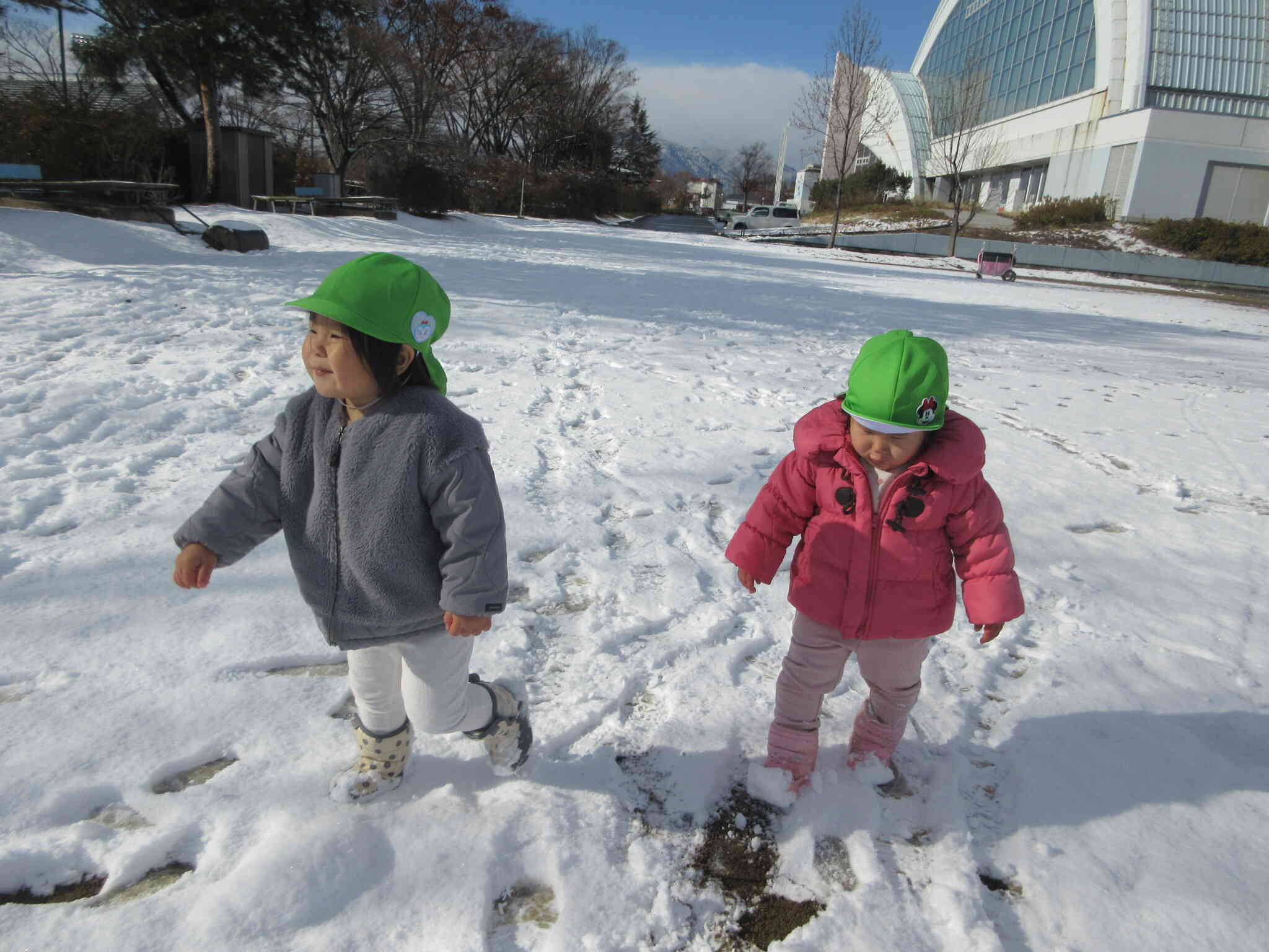 雪でグラウンドが真っ白だね！