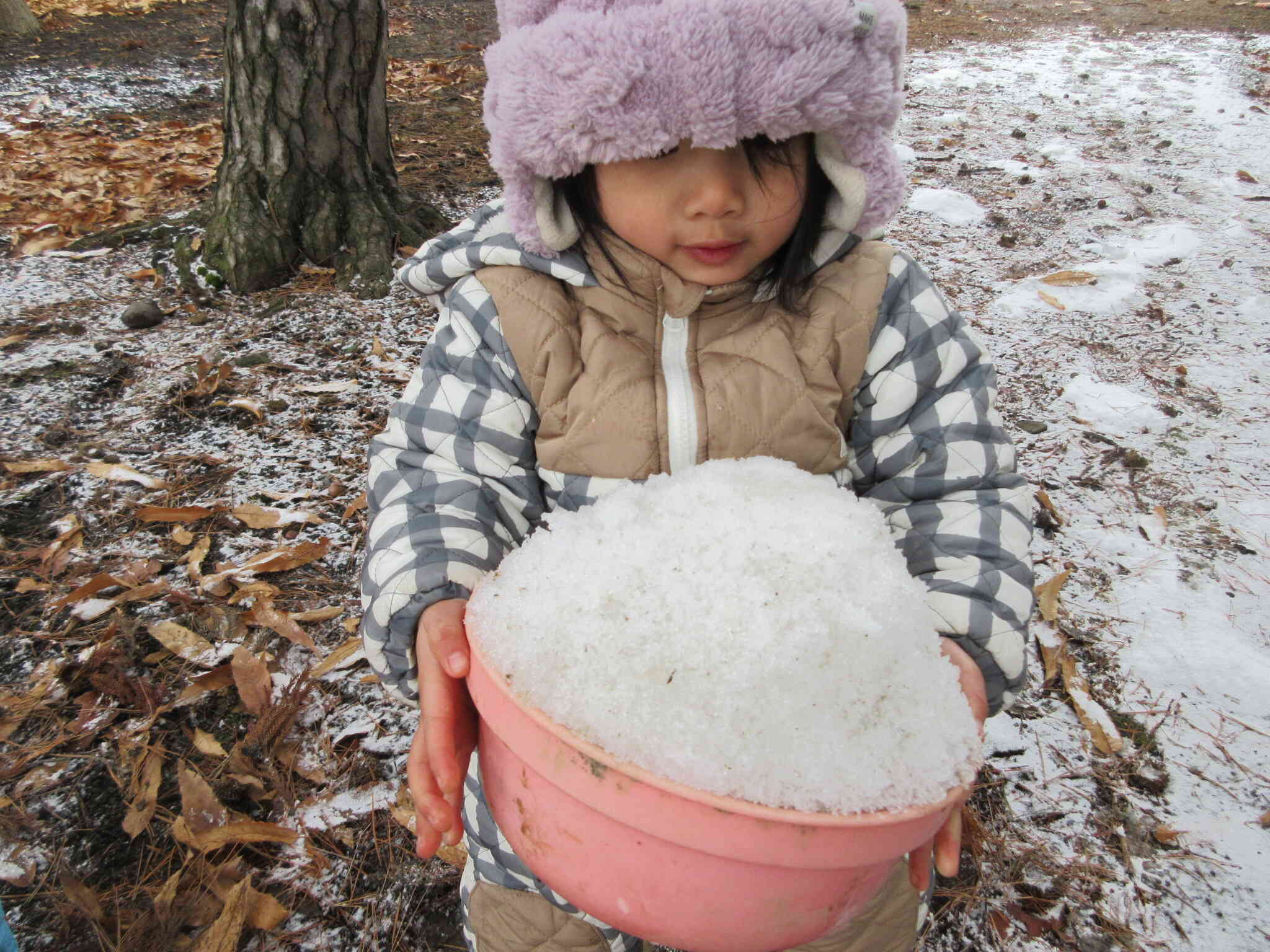 山盛りの雪だよ！