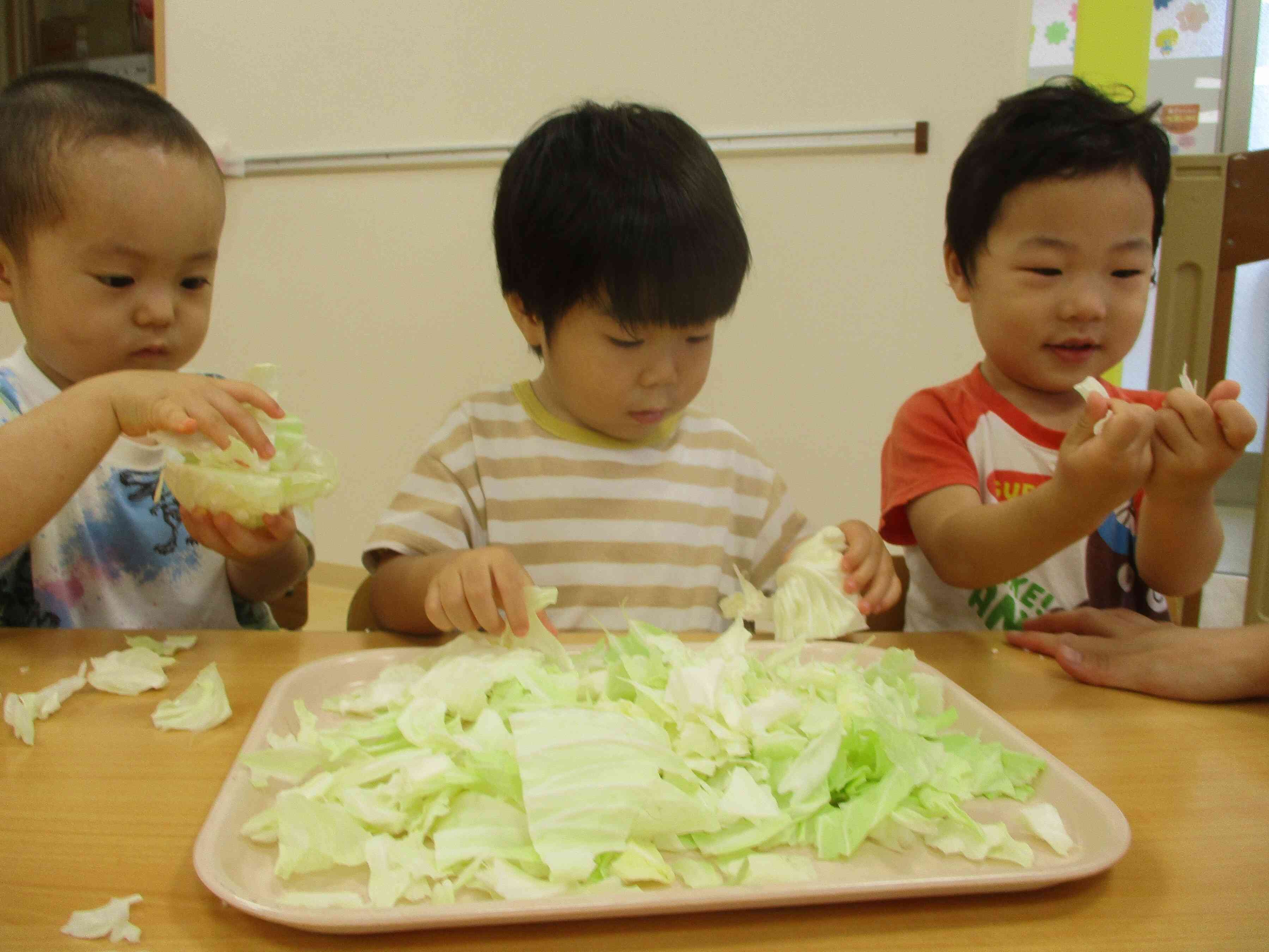 食育☆キャベツの皮剥きをしました