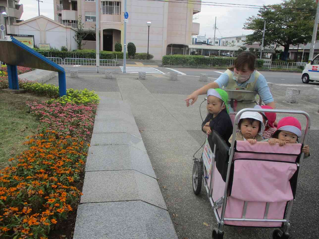 色とりどりの花を見つけたよ～！