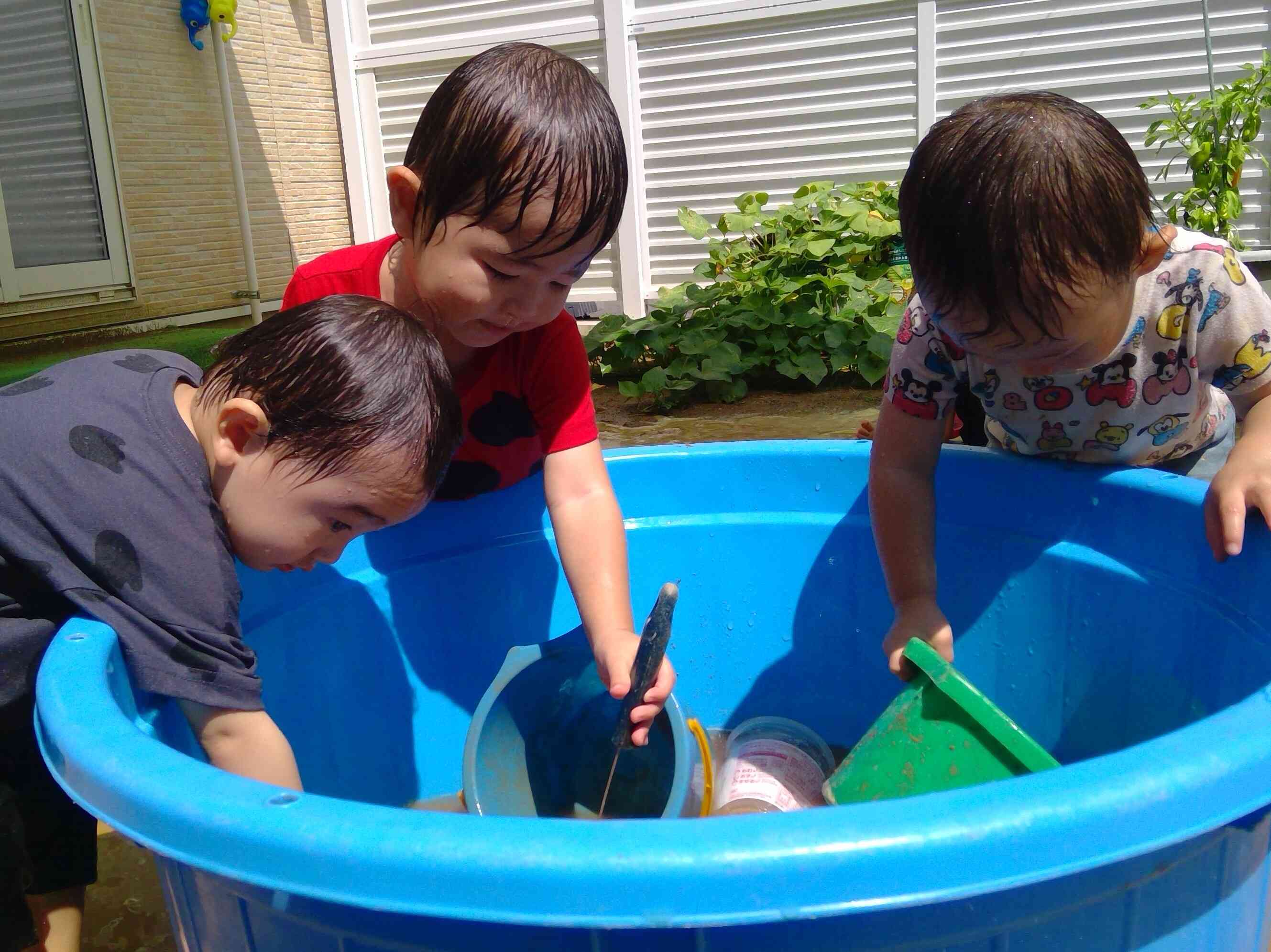 タライから水を汲み出すよー！