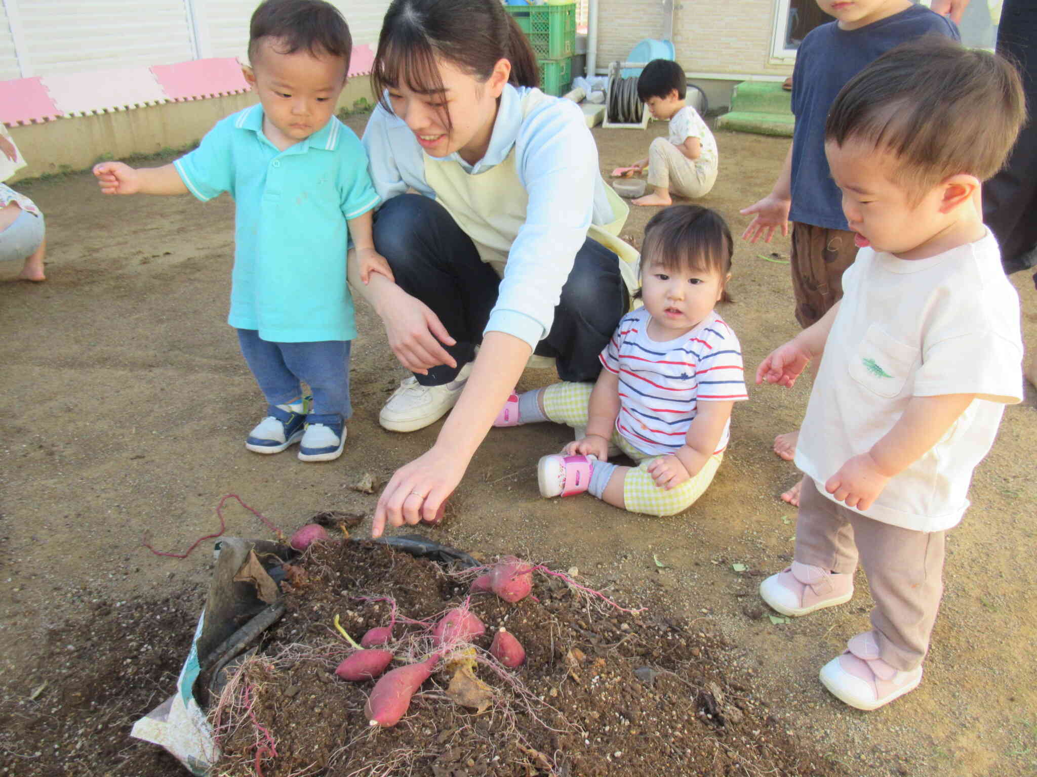 ひよこ組のお友達もお芋に触れてみたよ☆