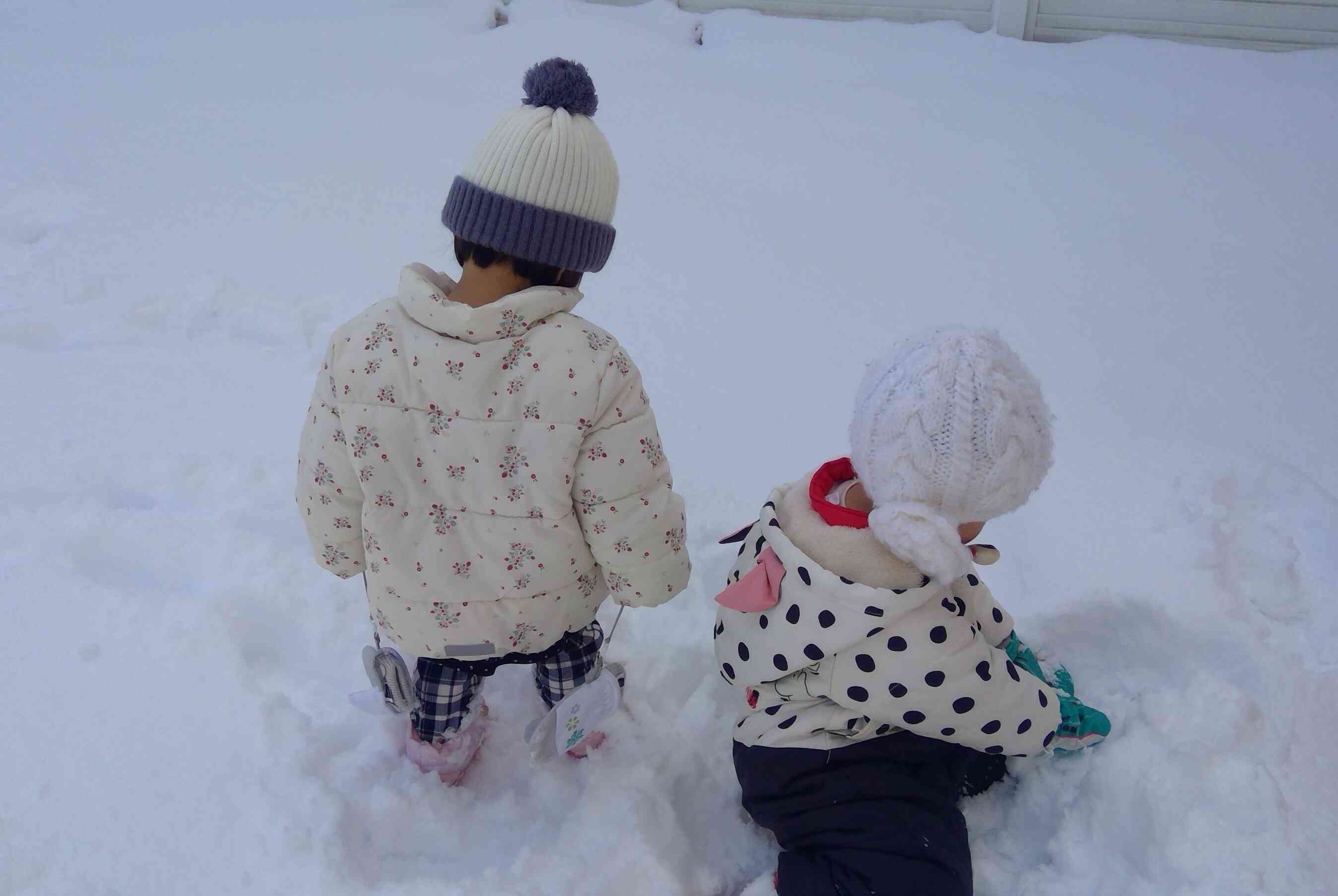 ふかふかに積もったね～⛄